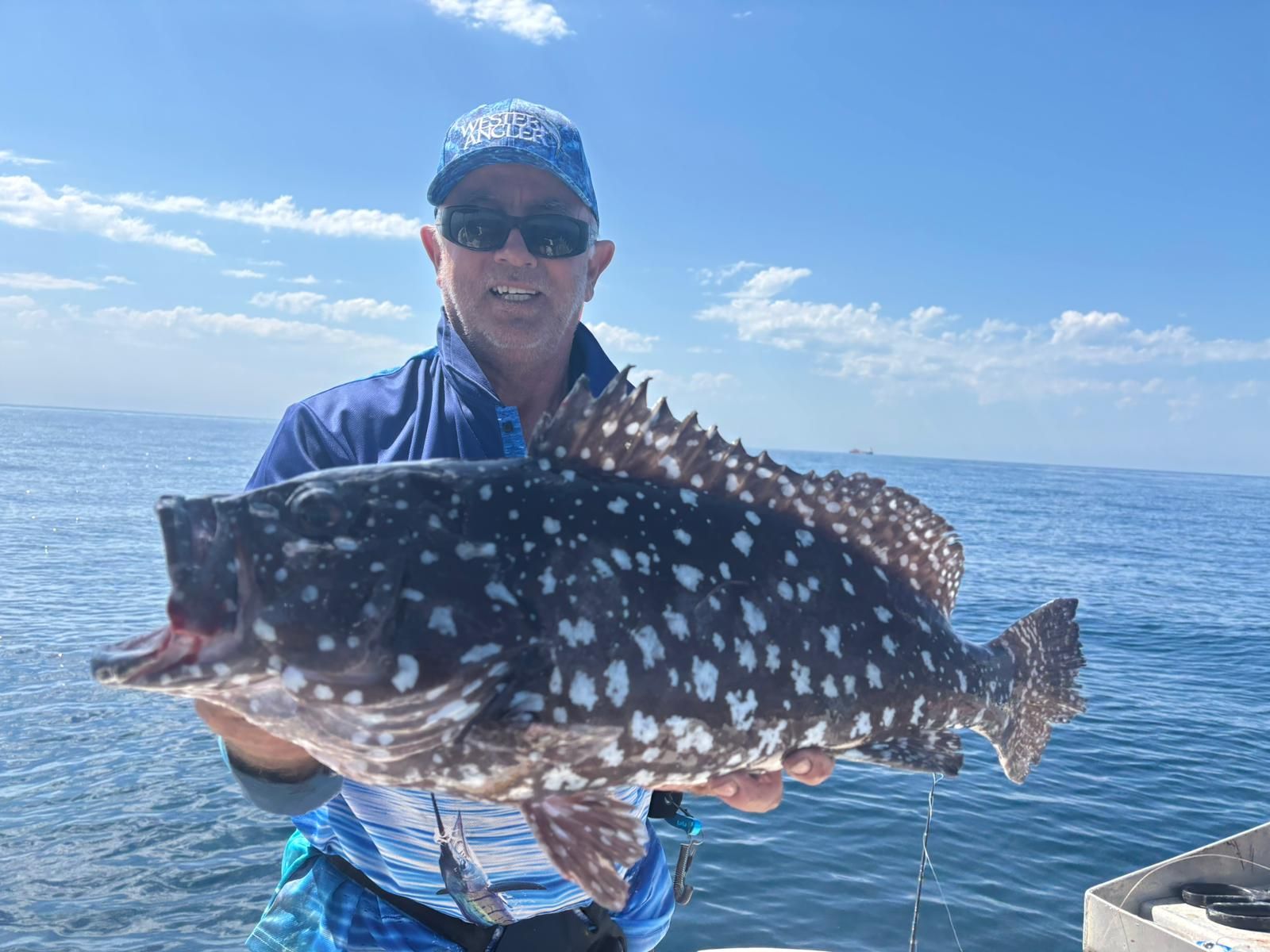 Western - Rankin cod were everywhere at the Mackerel Islands during the ...