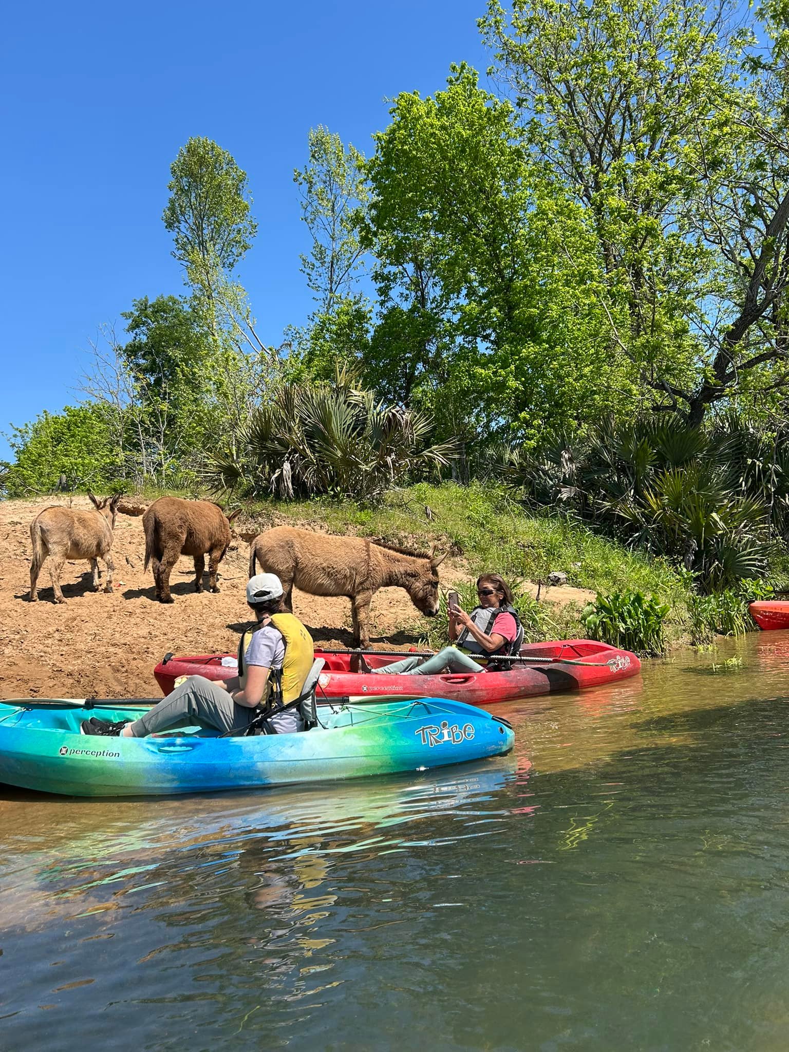CSRA Kayak Rentals | North Augusta SC