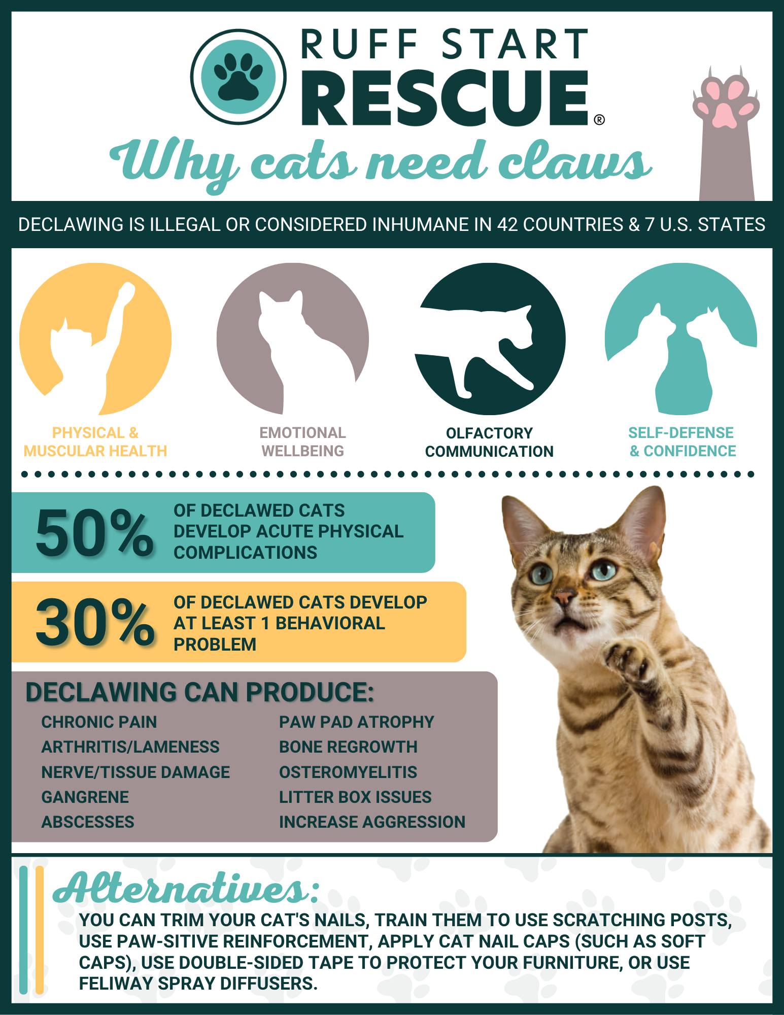 Ruff - Declawing might sound like a simple solution, but it’s far from ...