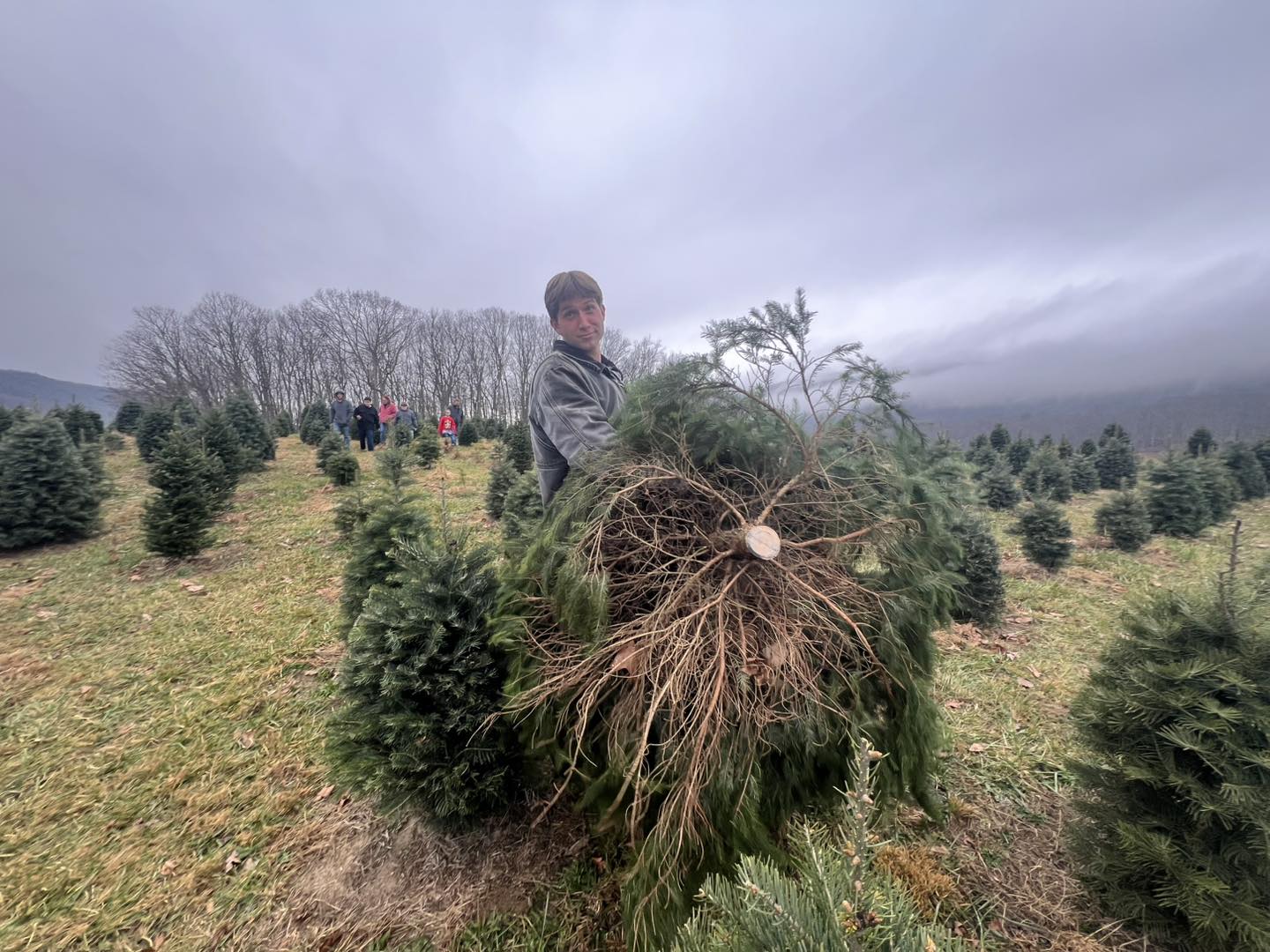 Spruce Ridge Tree Farm added a... - Spruce Ridge Tree Farm
