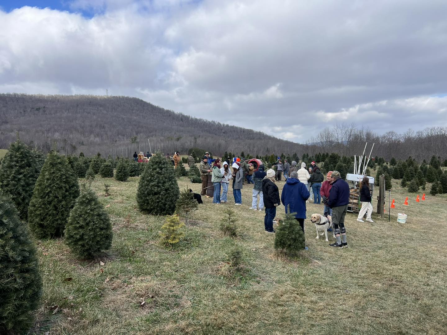 Spruce Ridge Tree Farm added a... - Spruce Ridge Tree Farm