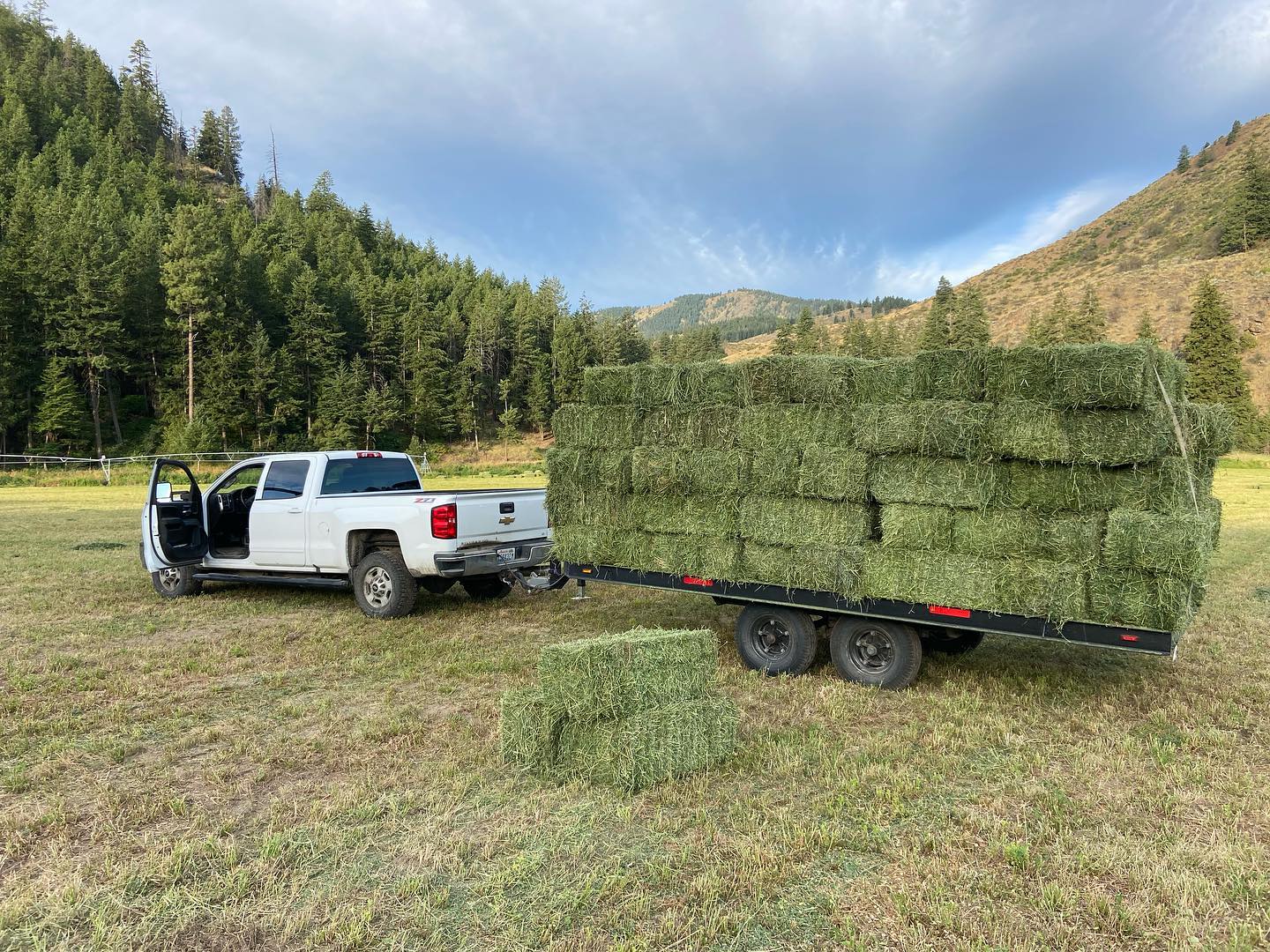TM Ranch - The most expensive gym membership ever!! First load is here ...