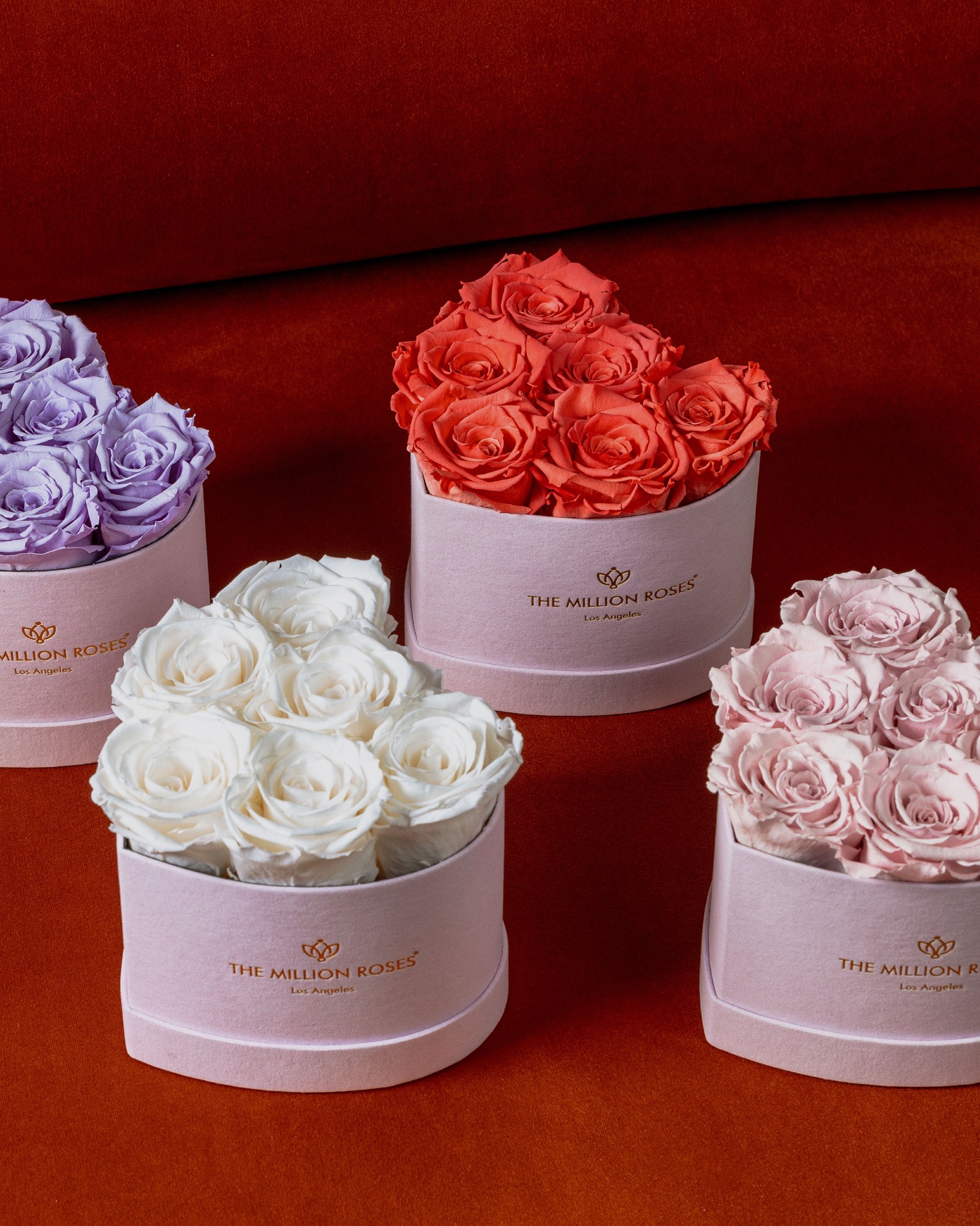 The Million Roses