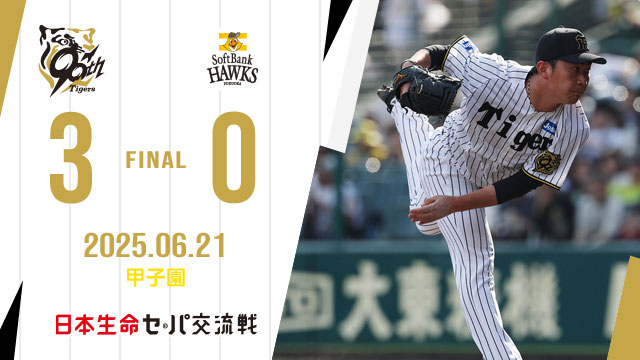 阪神タイガースvsソフトバンク　少しお値下げしました。
