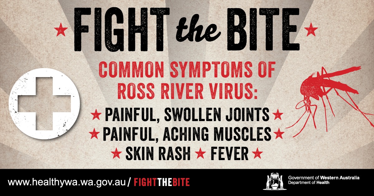 ROSS RIVER VIRUS DETECTED... - Shire of Derby/West Kimberley | Facebook