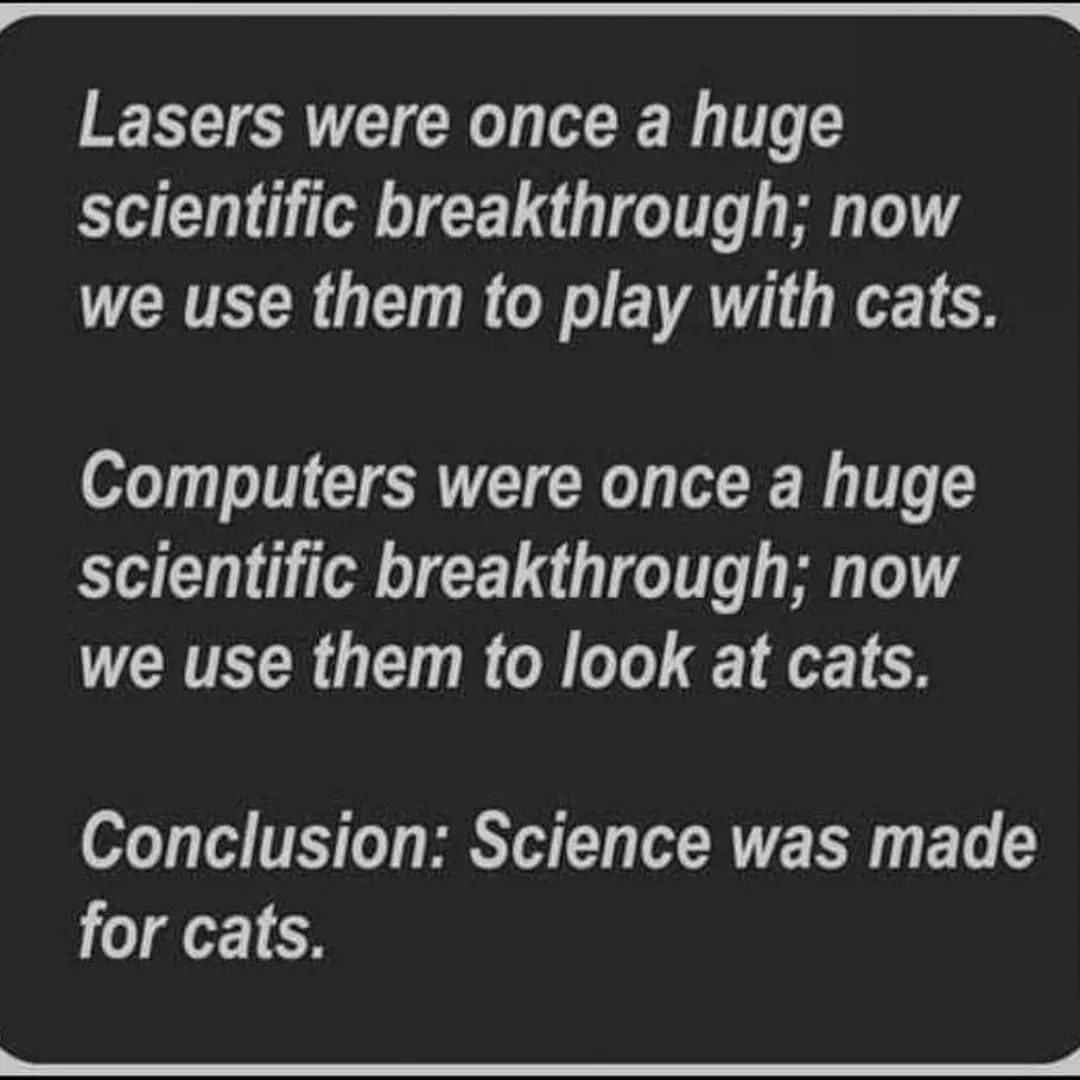 The Teacher - According to cats... everything is made for them! 🐈🐈🐈 ...