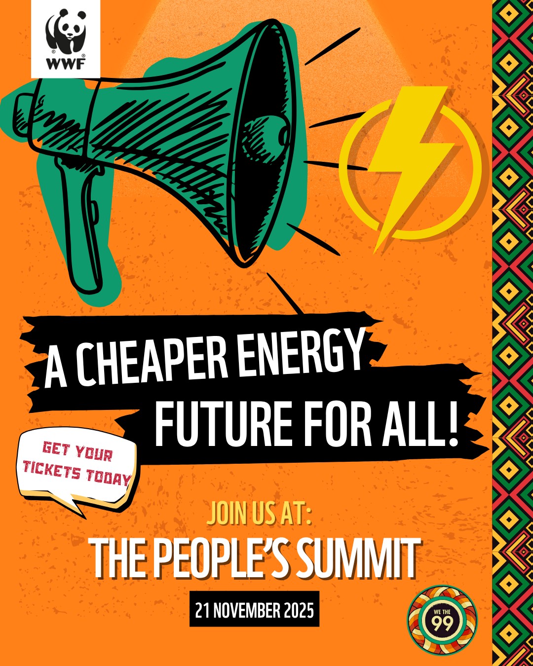 WWF - South Africa has waited over 20 years for an official energy plan ...