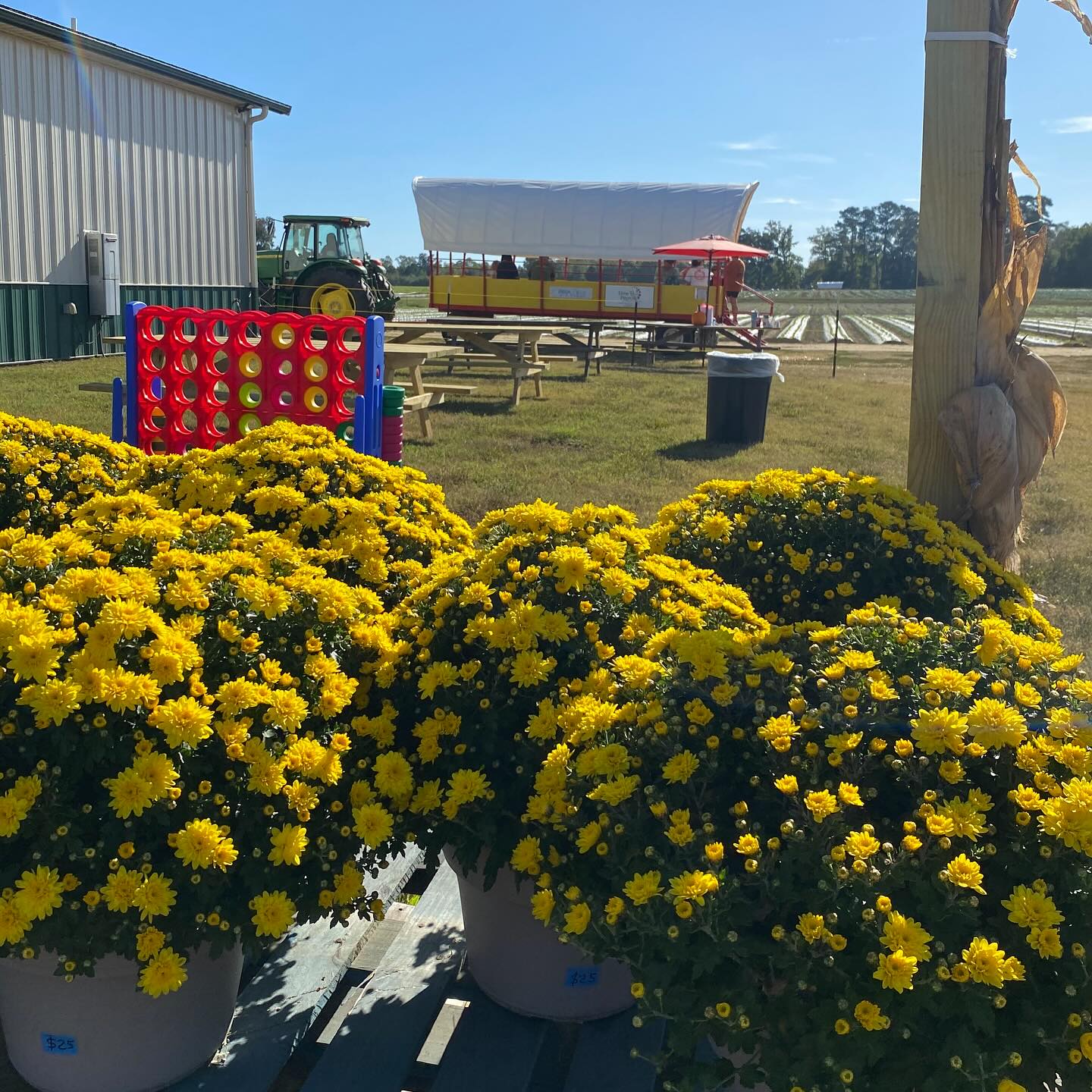 Deans - It’s a great day for a hayride at the pumpkin patch! Come on ...