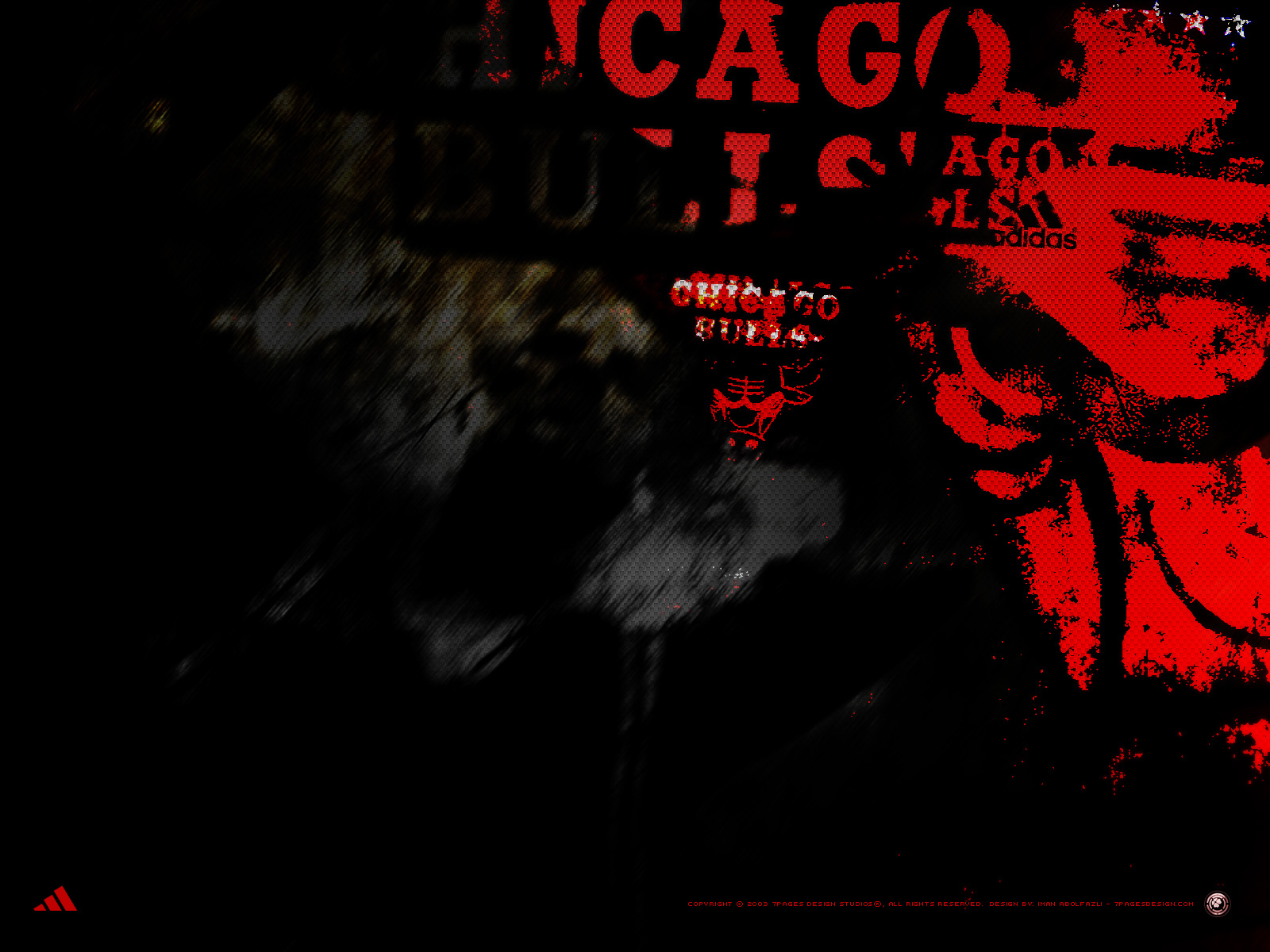 The Chicago Bulls Nation | Chicago IL