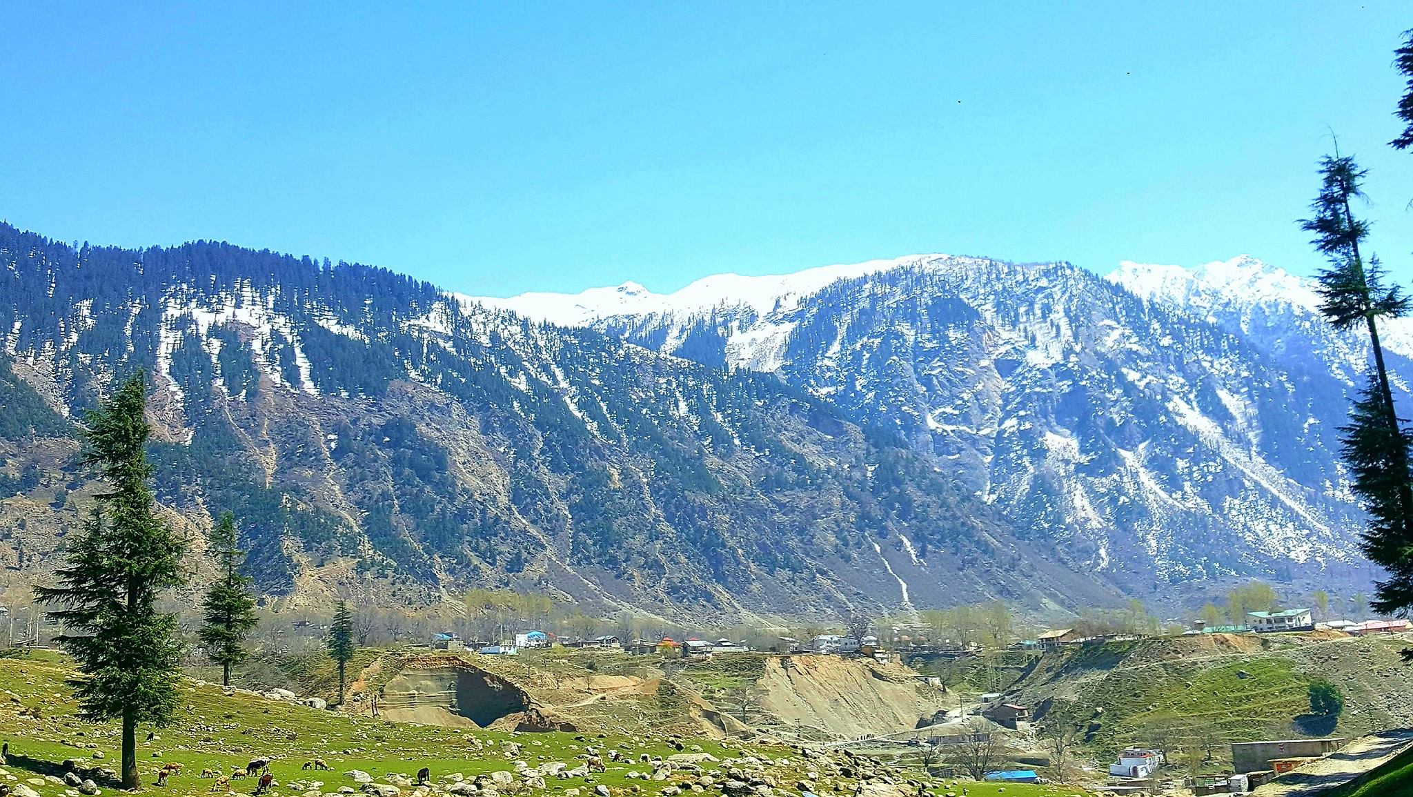 Janzeb Khan