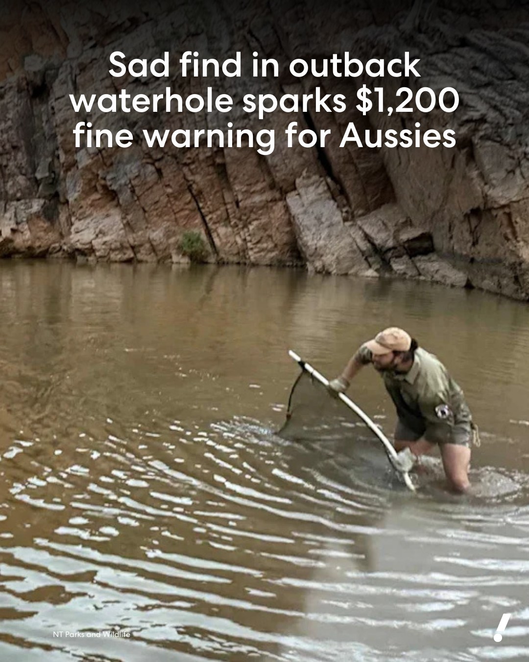 Yahoo - Rumours of an unusual creature living in an outback waterhole ...