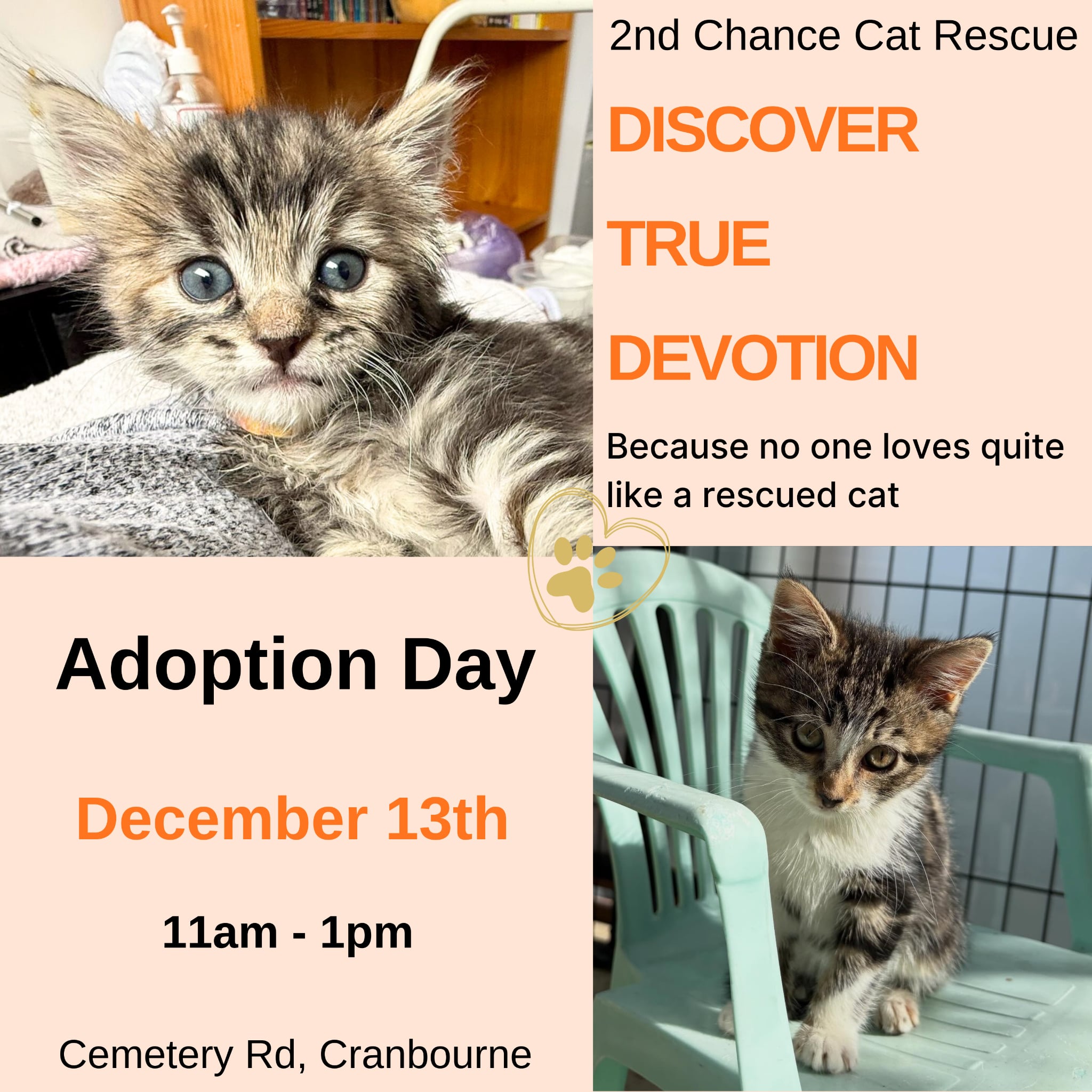 2nd Chance Cat Rescue added a new... - 2nd Chance Cat Rescue