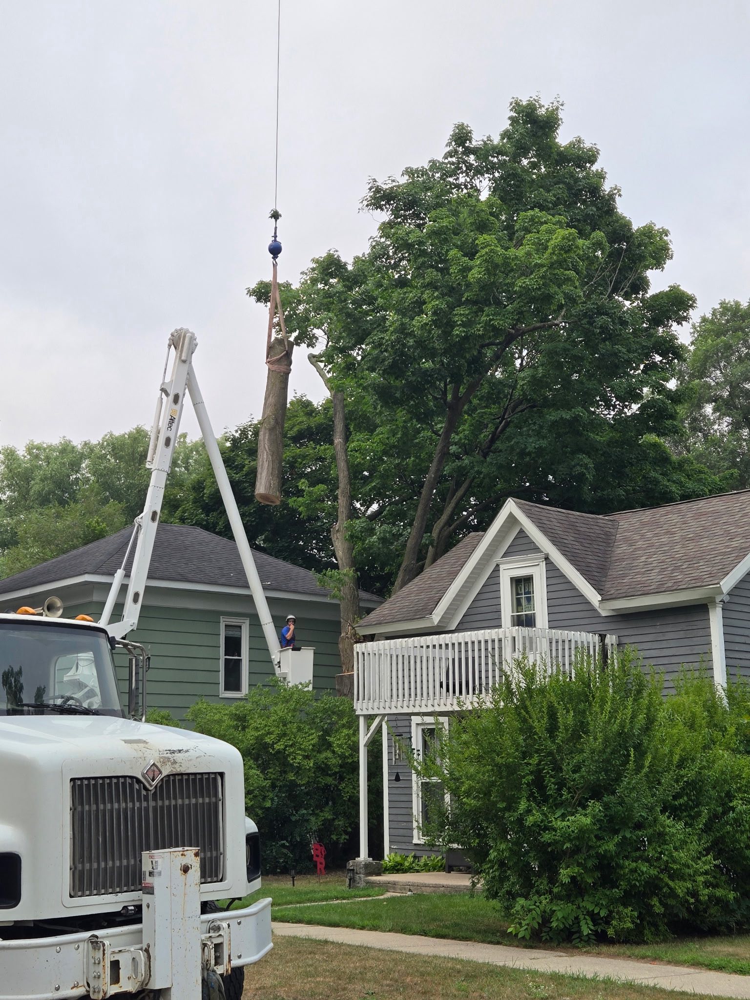 Cook's Tree Service LLC | Mecosta MI