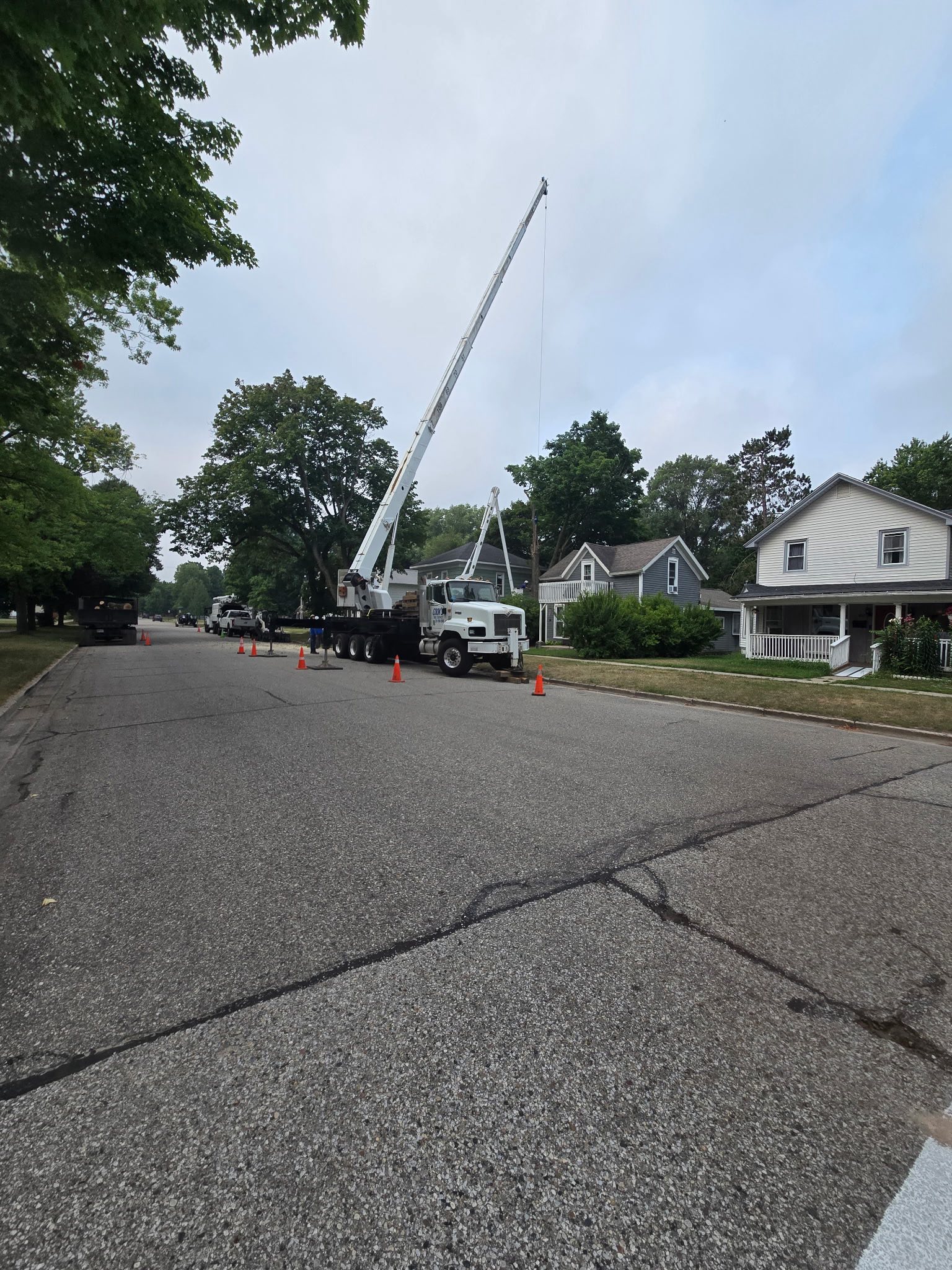 Cook's Tree Service LLC | Mecosta MI