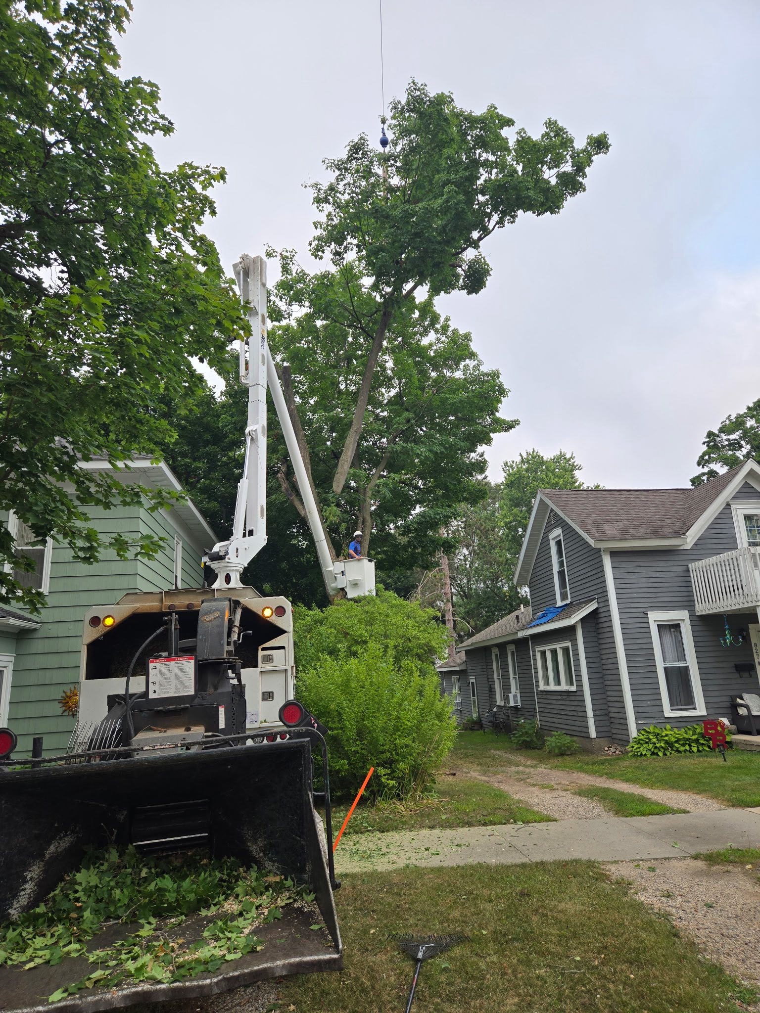 Cook's Tree Service LLC | Mecosta MI