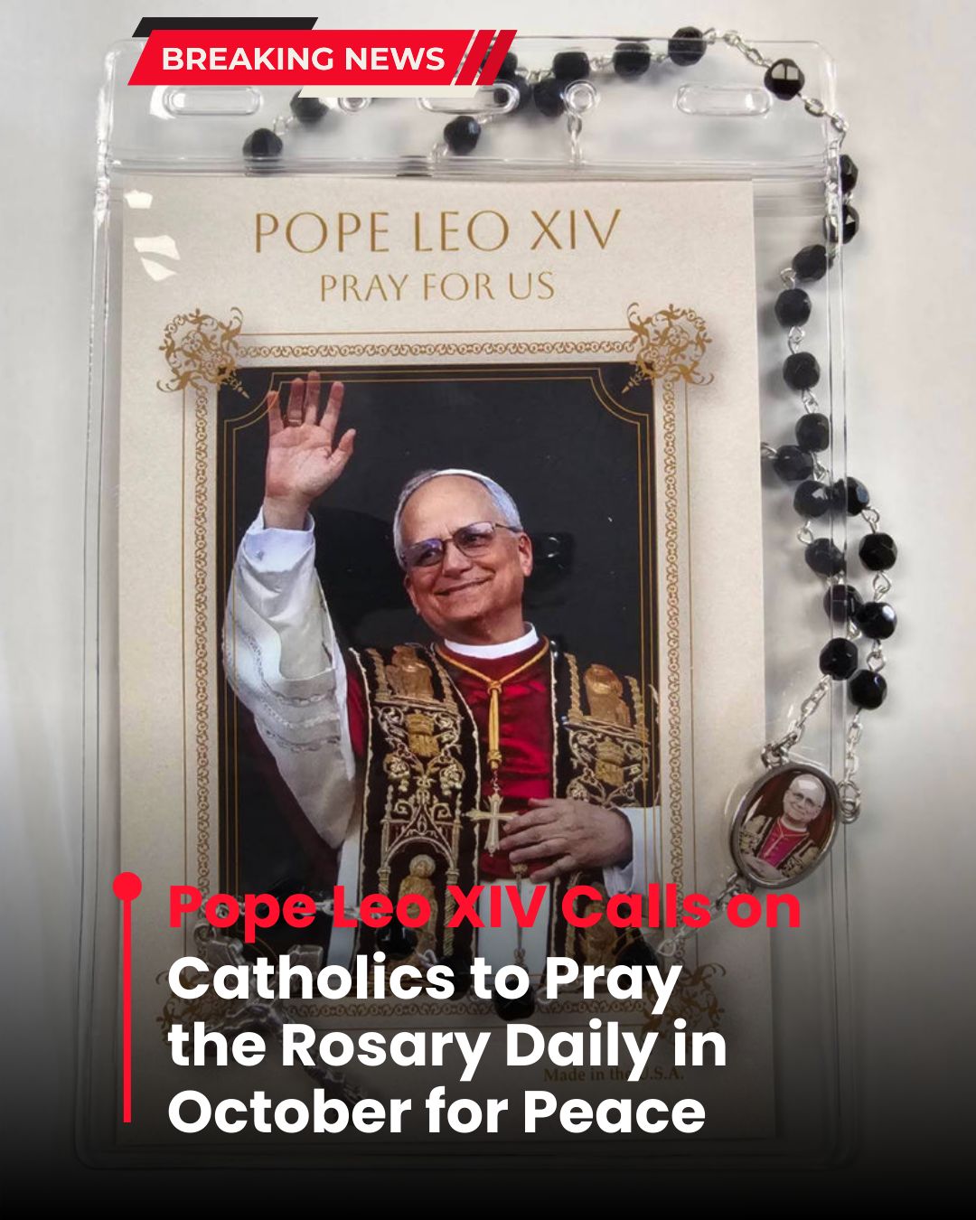 Pope Leo Calls on Catholics to Pray the... - The Divine Mercy | Facebook