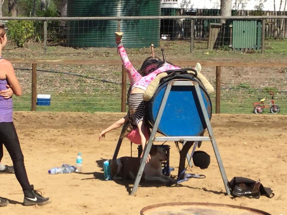 Heidi Grinham Trick Riding performances