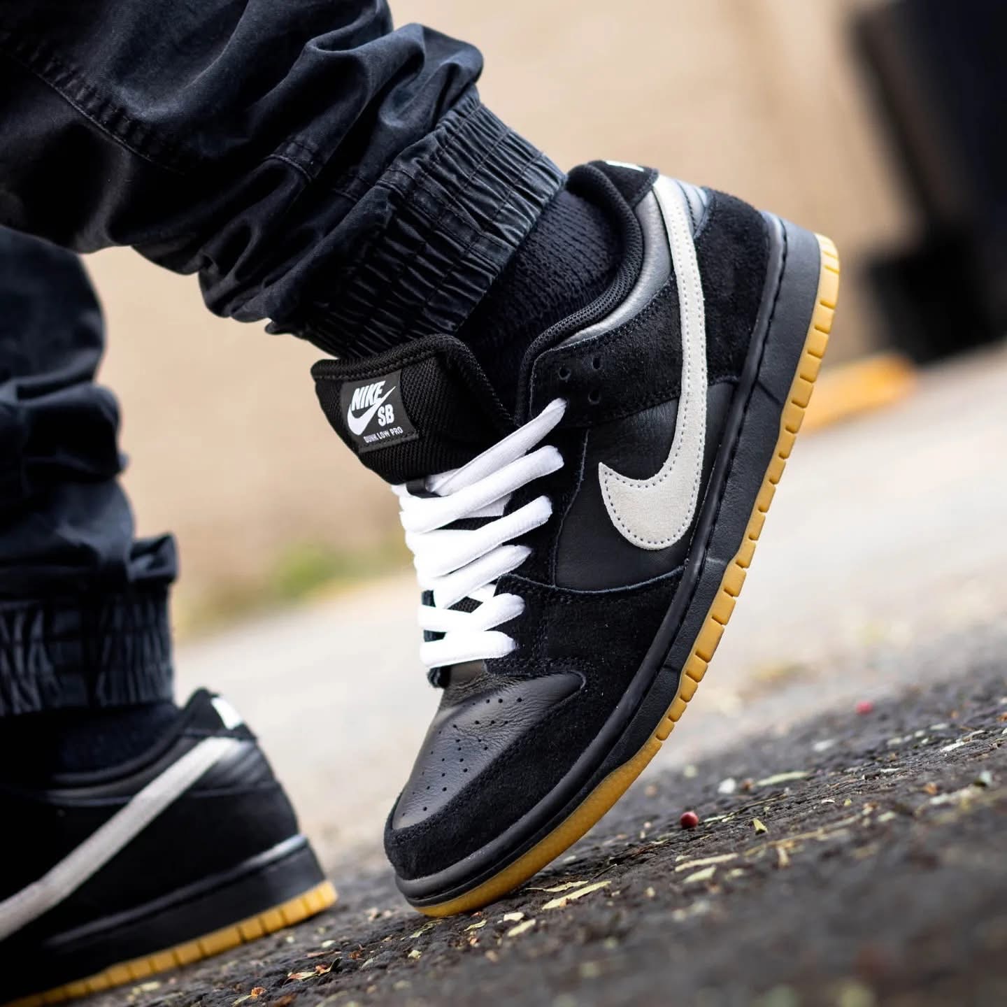 RESTOCK: Nike SB Dunk Low Pro 