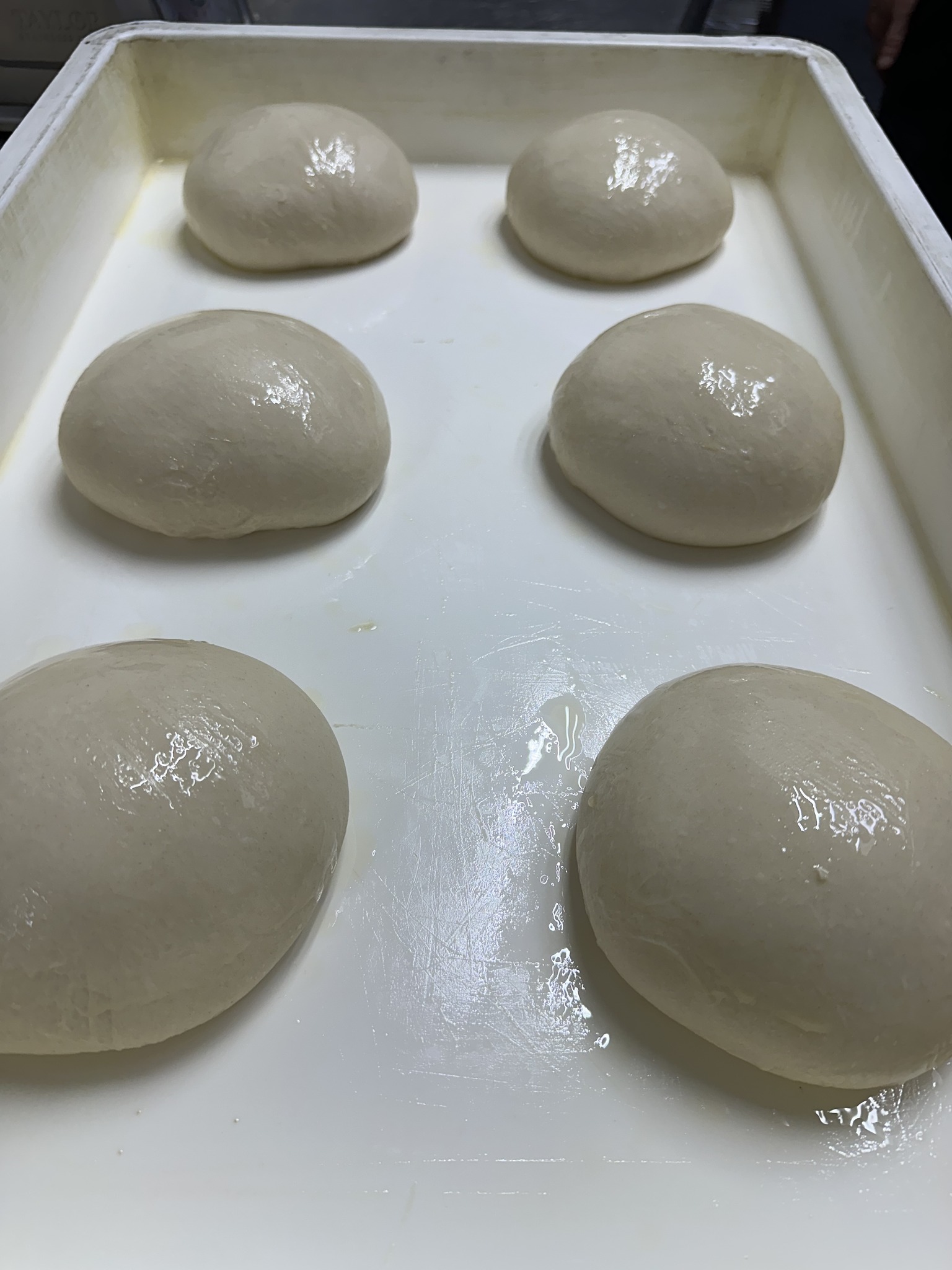 Ray's Italian Kitchen | Houston TX
