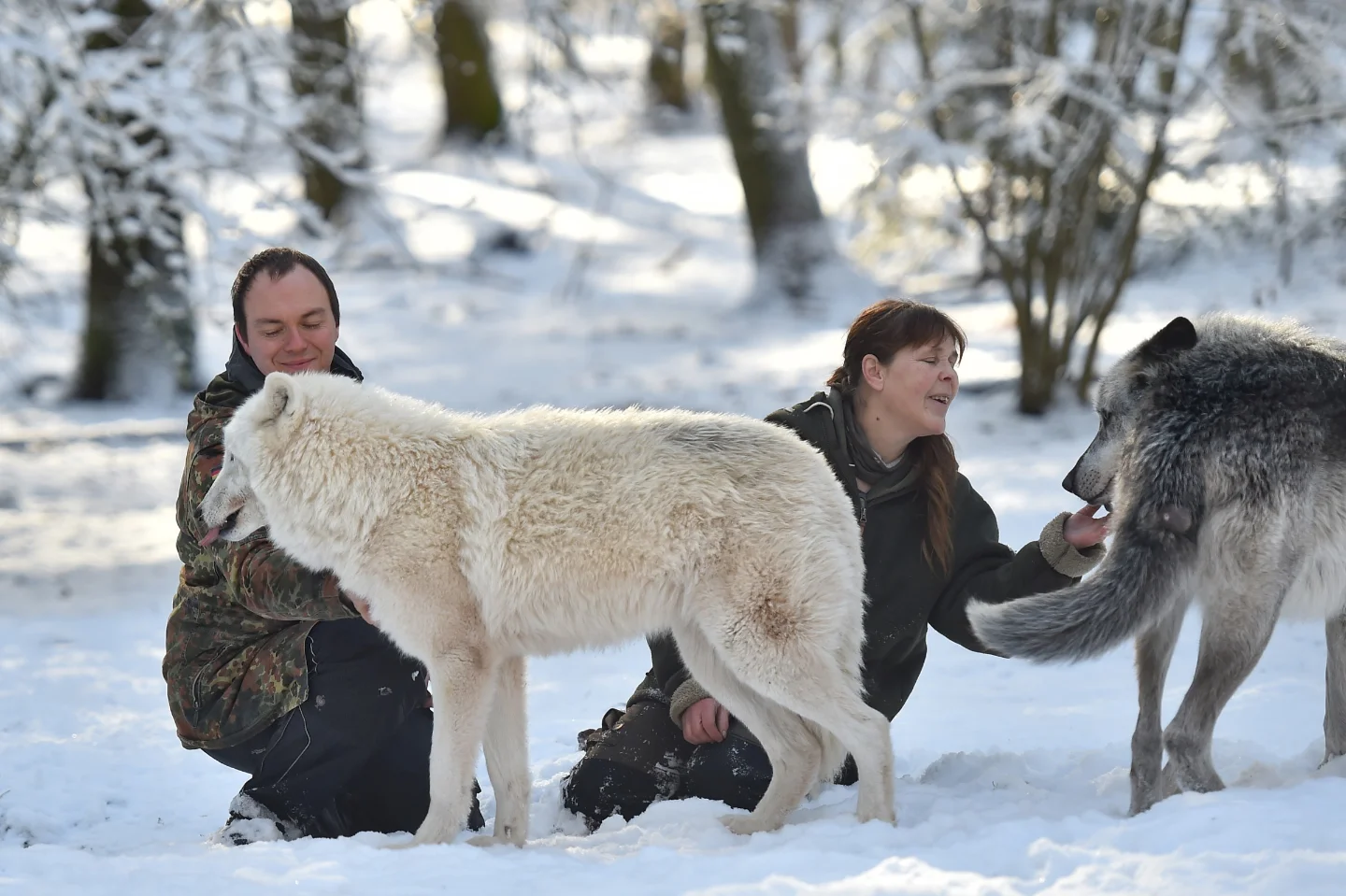 Wolfspark Werner Freund Merzig/Saar | Merzig