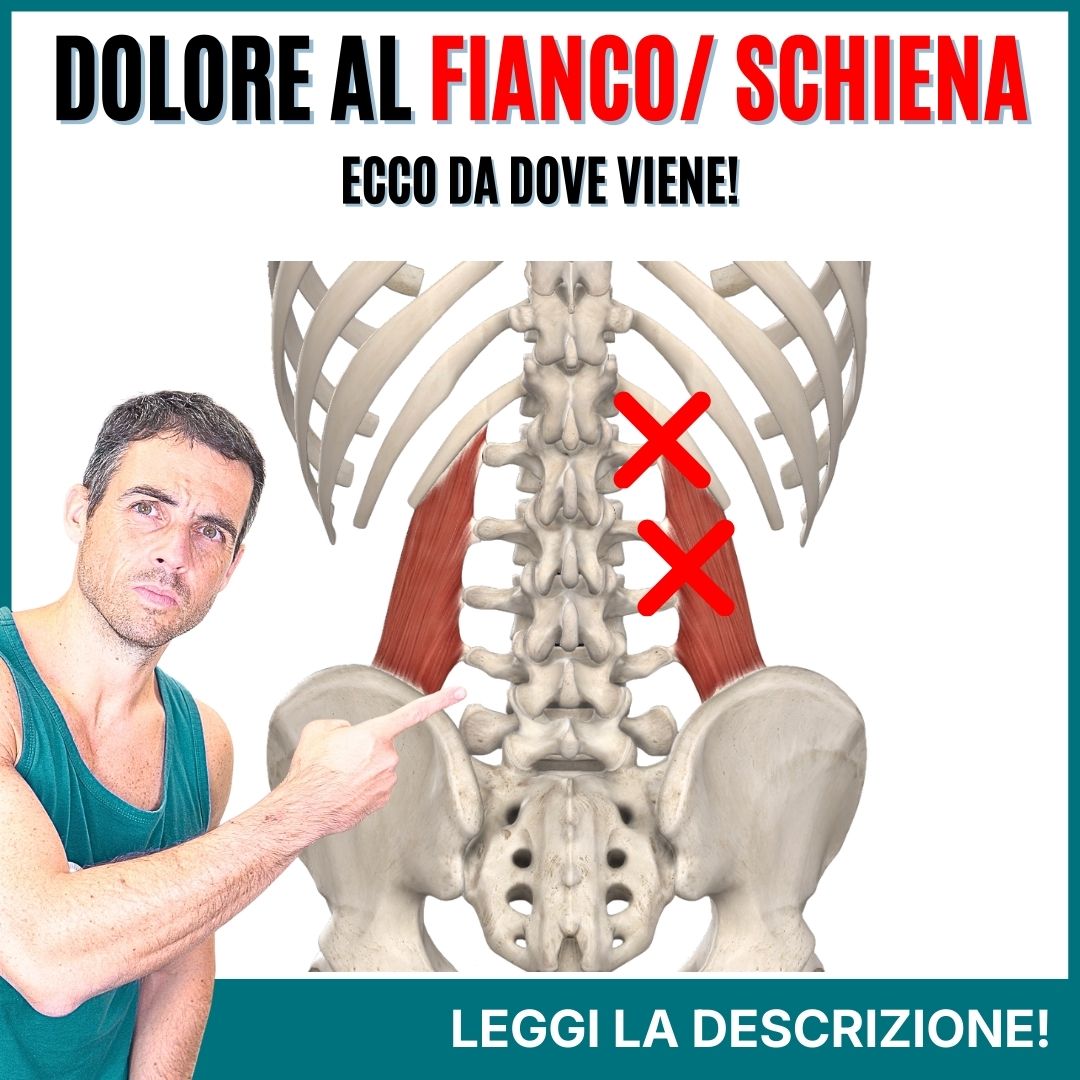 Aerodattile lucido (Borsa a tracolla) Pokemon Trade Go (REGISTRATO