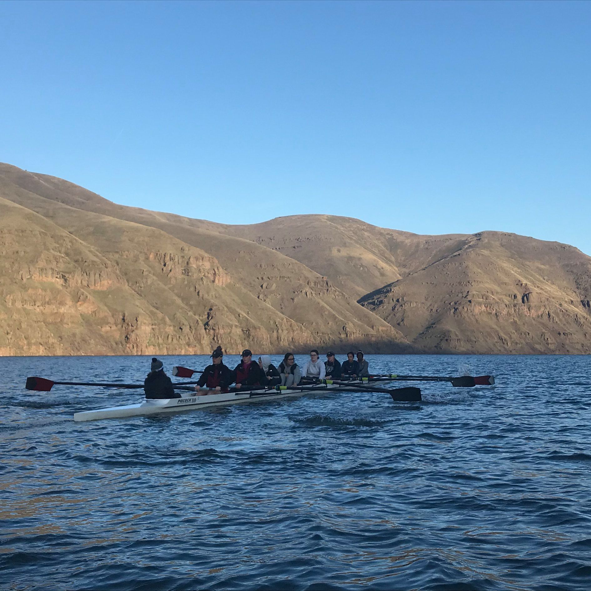 Washington State University Women’s Club Rowing