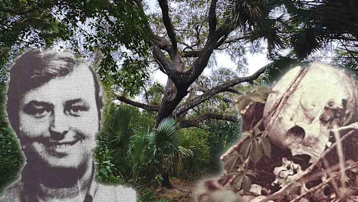 News - It might sound crazy, but this tree is reportedly linked to one ...