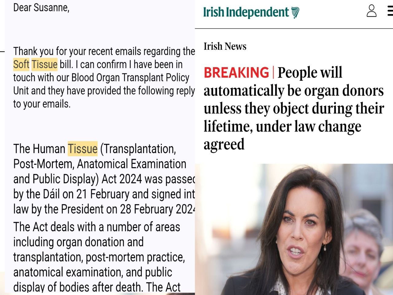 The State Has Technically Owned Your... - The Irish Inquiry | Facebook
