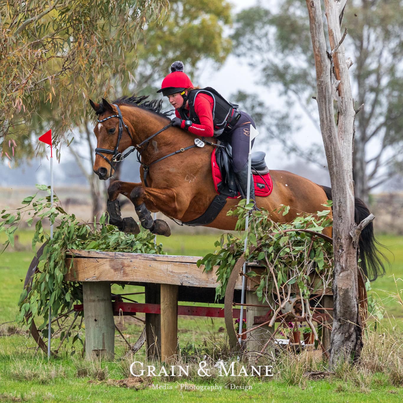 Grain & Mane - Georgina Jackson and Dalwin Artiste fly... | Facebook