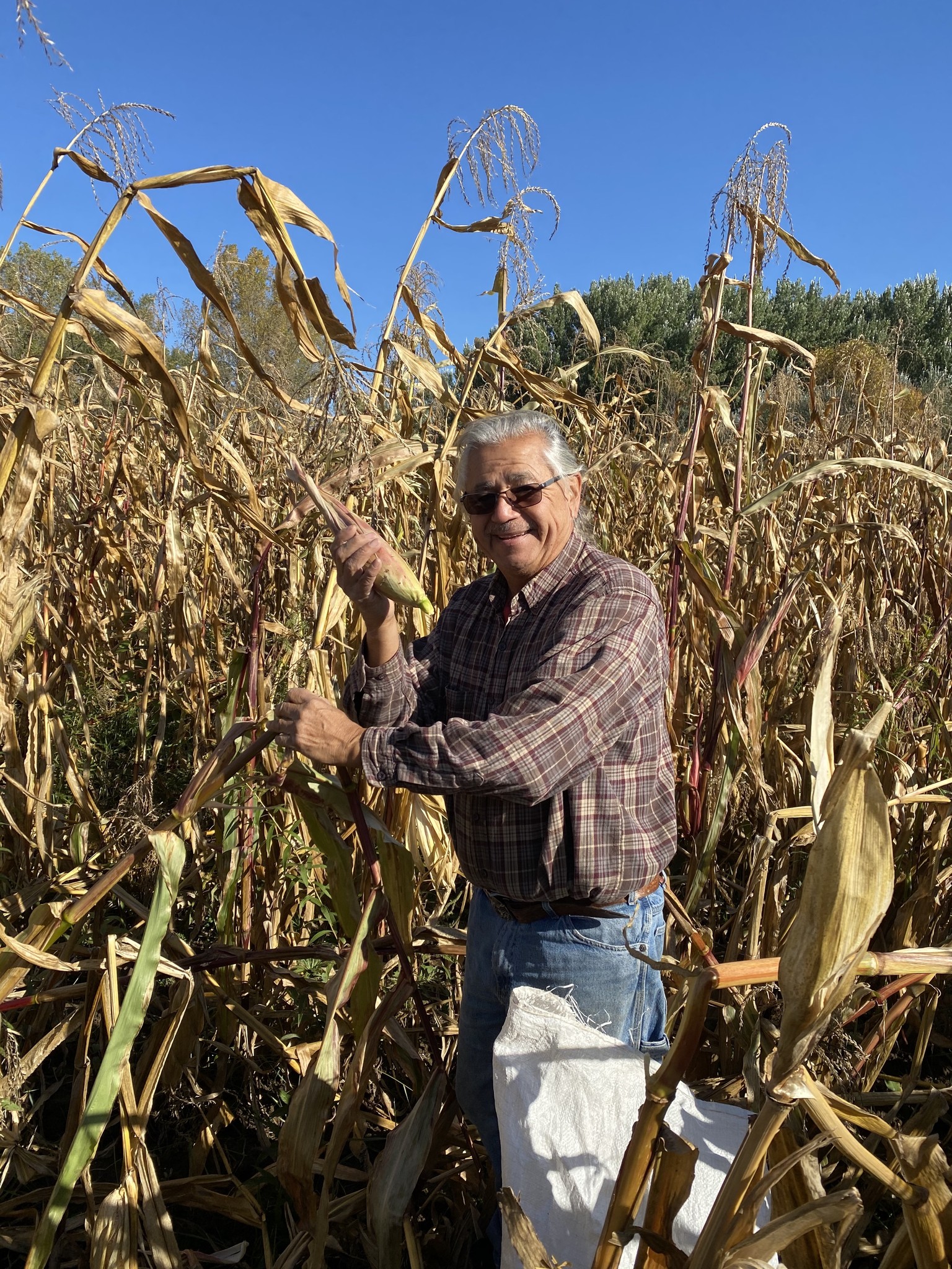 Ohe∙láku - Among the Cornstalks | Oneida WI