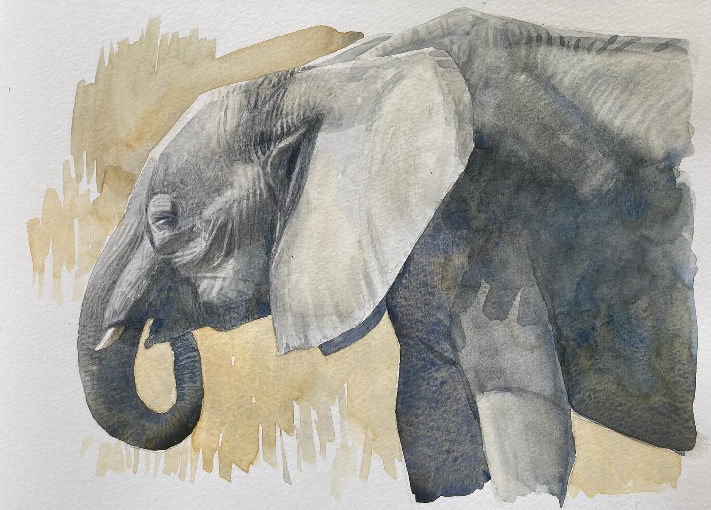 Darren Rees Artist