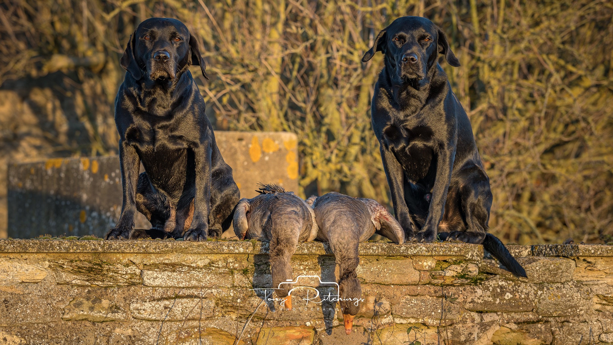 Countryside Capers | A fine brace......with my two boys. | Facebook