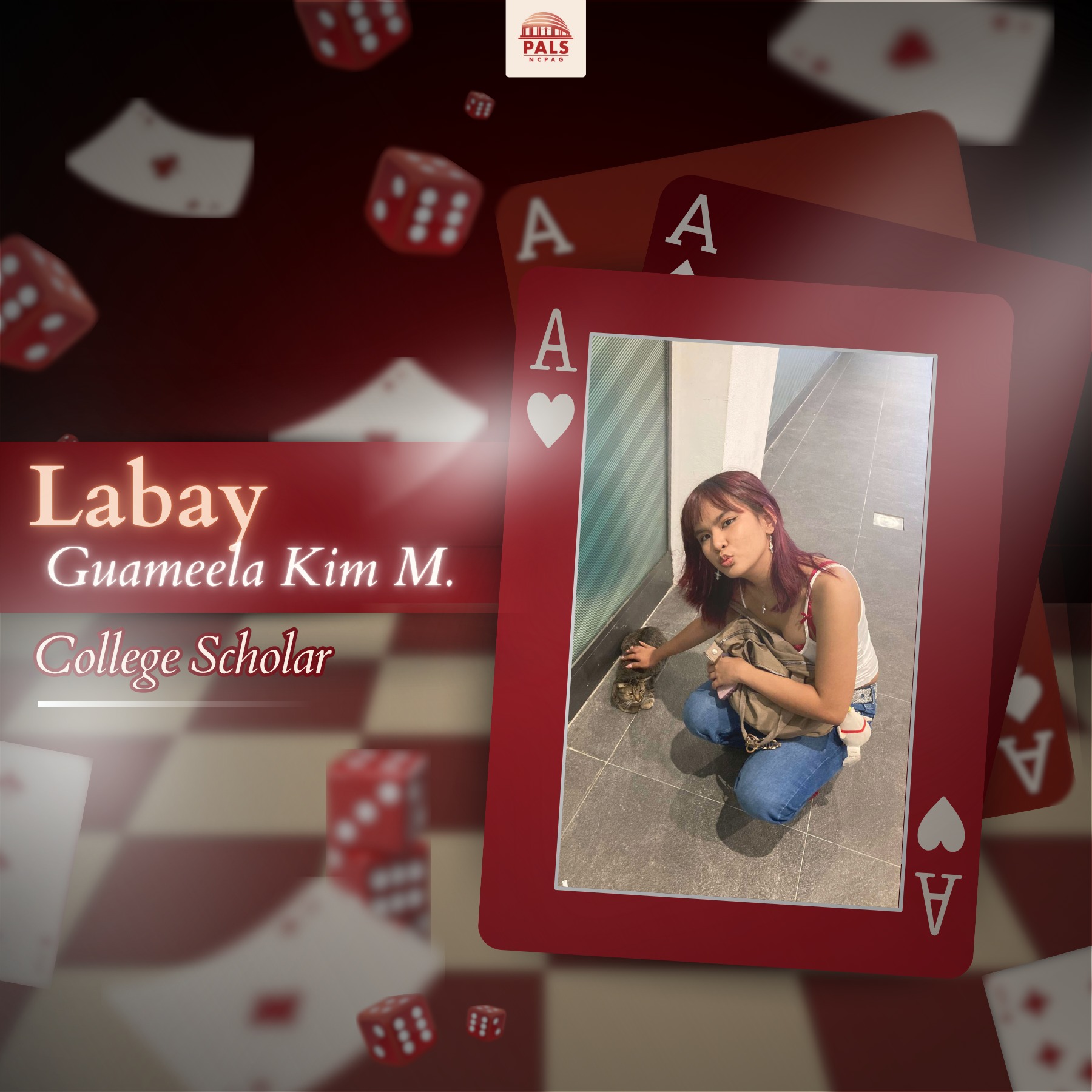 Practice of Administrative Leadership and Service (PALS-NCPAG) added a ...
