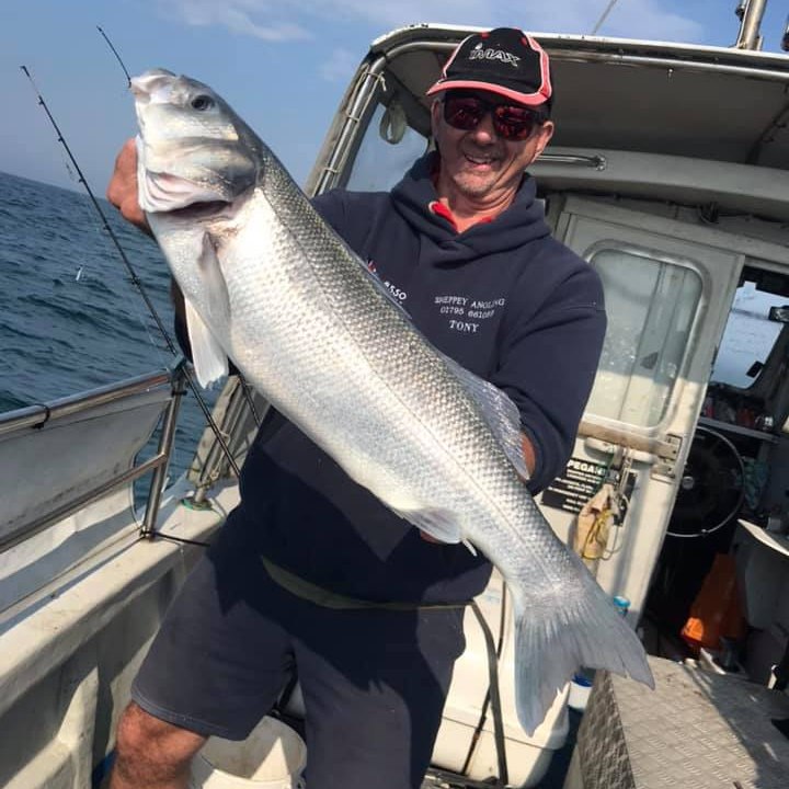 Explorer Elite Fast Fishing boats | Hi all currently tow my explorer ...