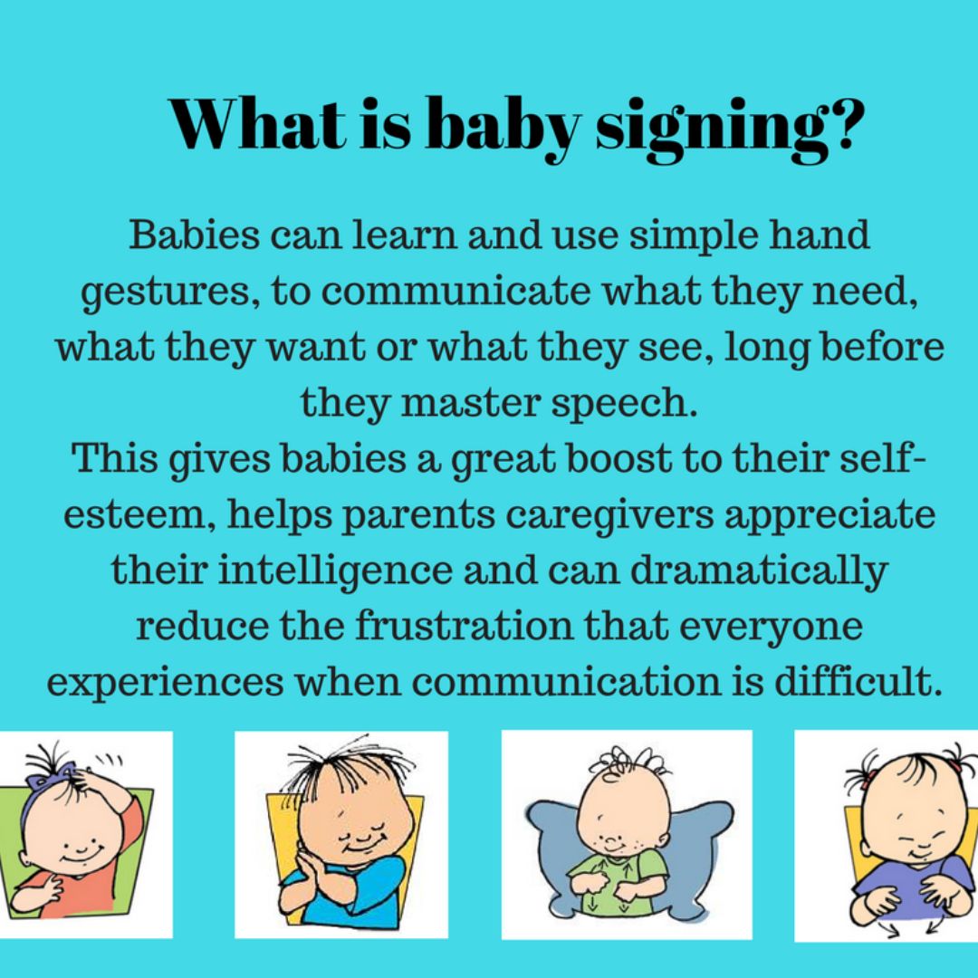 Baby Signs: The Original Sign Language Program for Babies