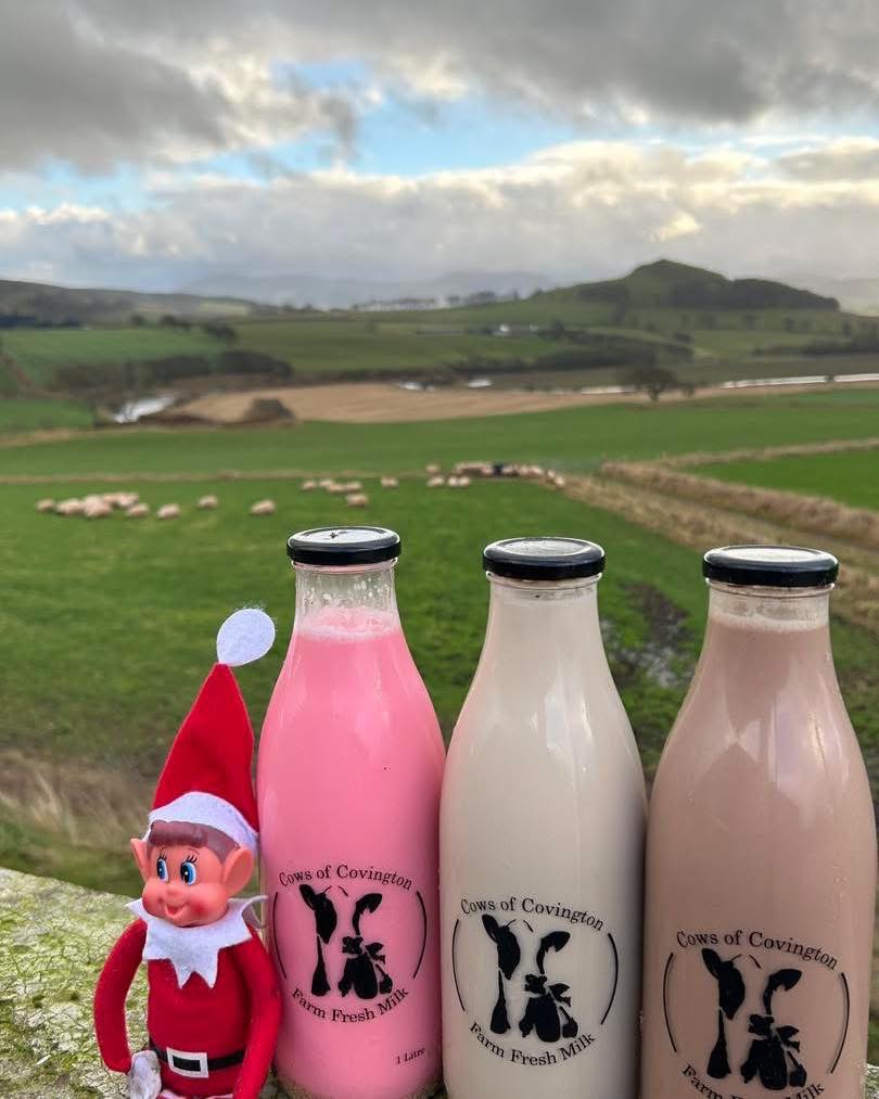 hillhead-day-9-elf-on-the-farm-with-this-week-s-flavours-at-the