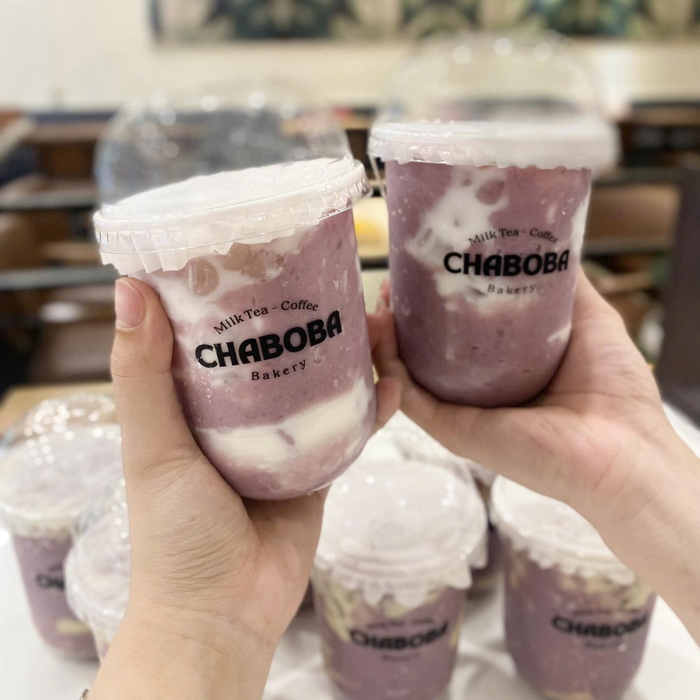 Chaboba | Tuyên Quang