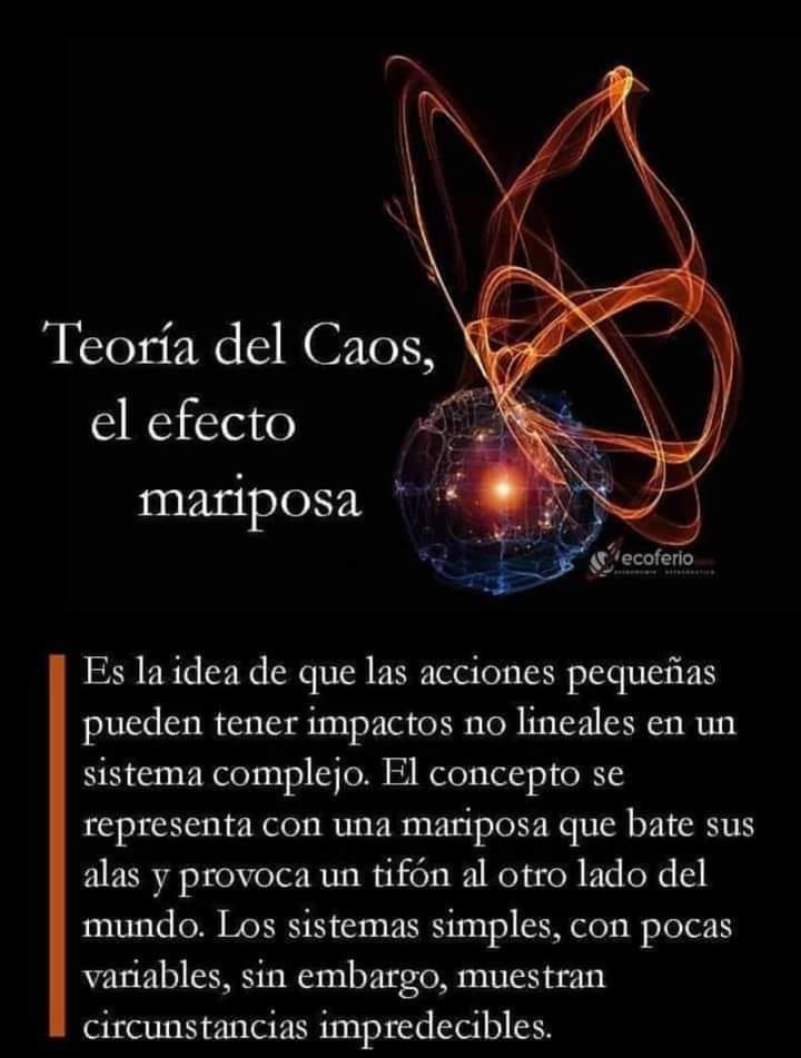 Patskool - 🦋EFECTO MARIPOSA: El aleteo de las alas de una... | Facebook