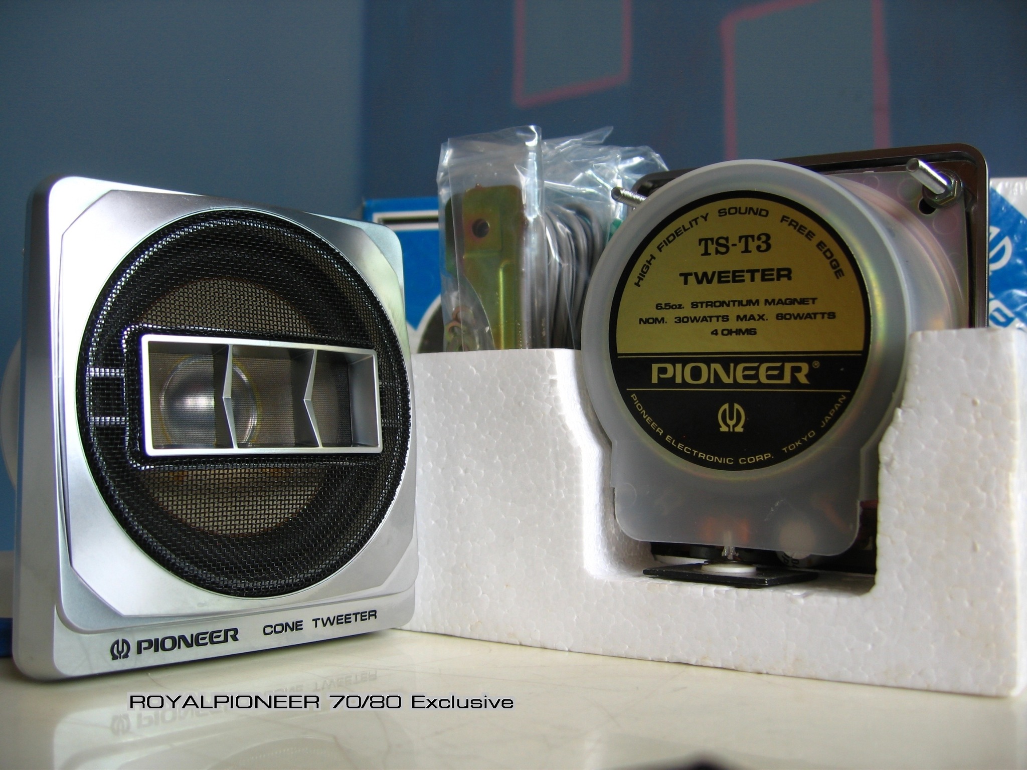 The legendary Tweeter 8,7cm TS-T3, 1980 M 場号 MNONNNANN PANNANNA