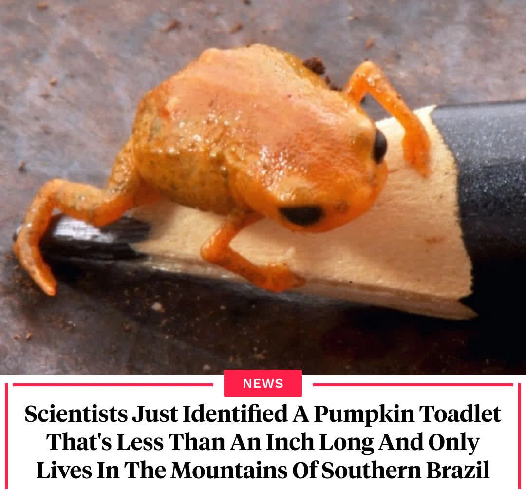All - For the past several years, scientists in Brazil have been ...