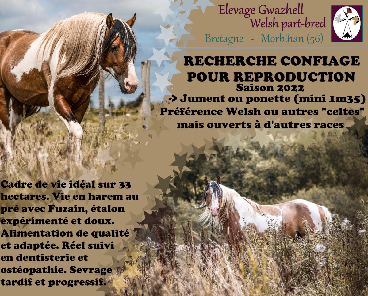 Contrat De Confiage Cheval Avec Option D Achat