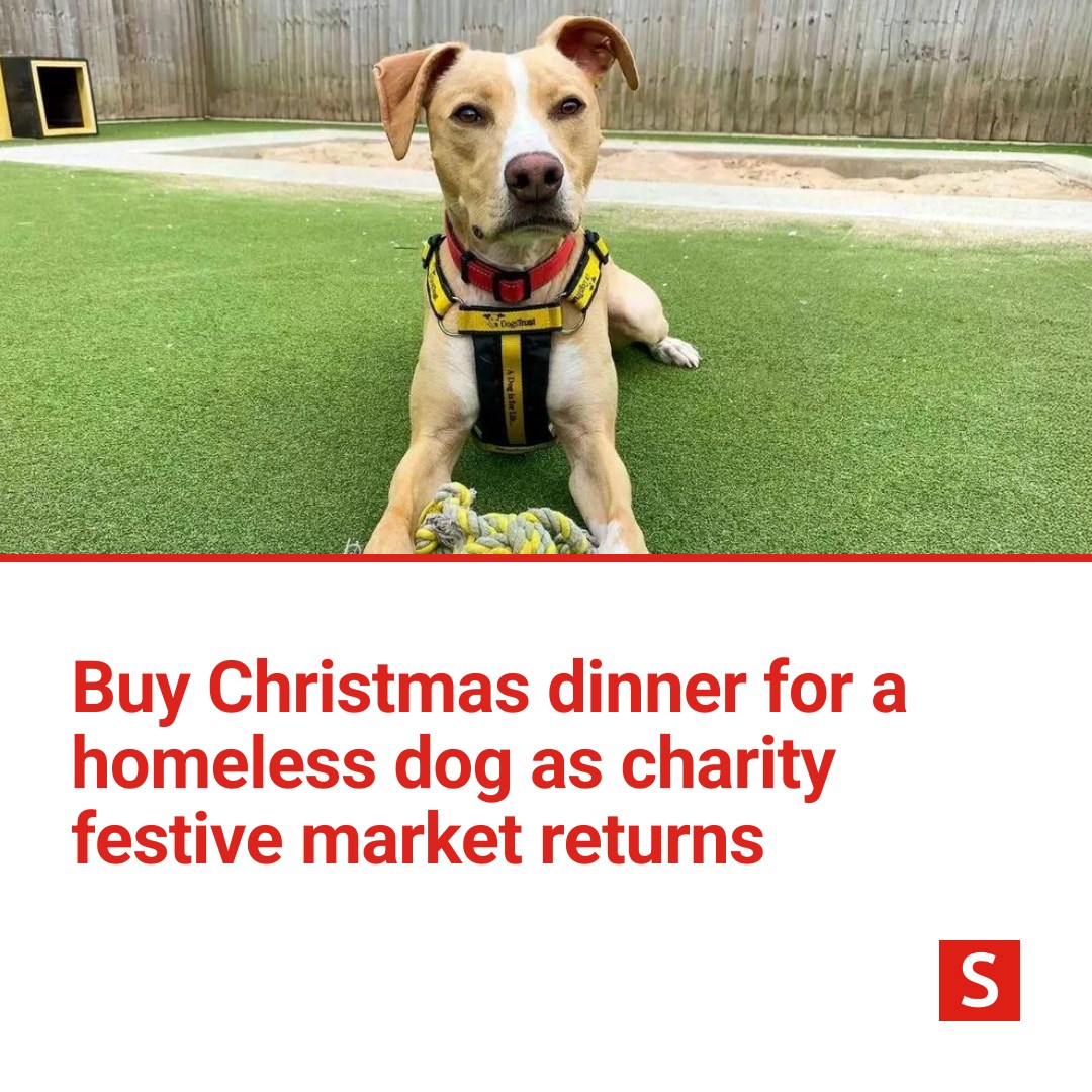 Sunderland - Dogs Trust Darlington Christmas market will feature a ...