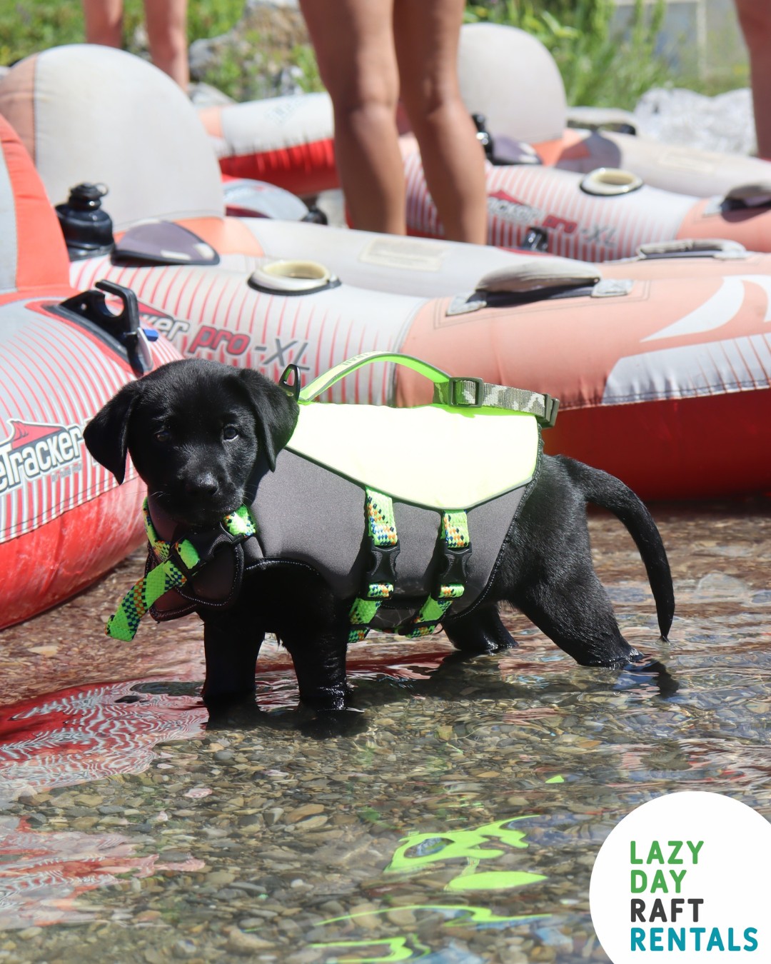 Lazy Day Raft Rentals | Calgary AB