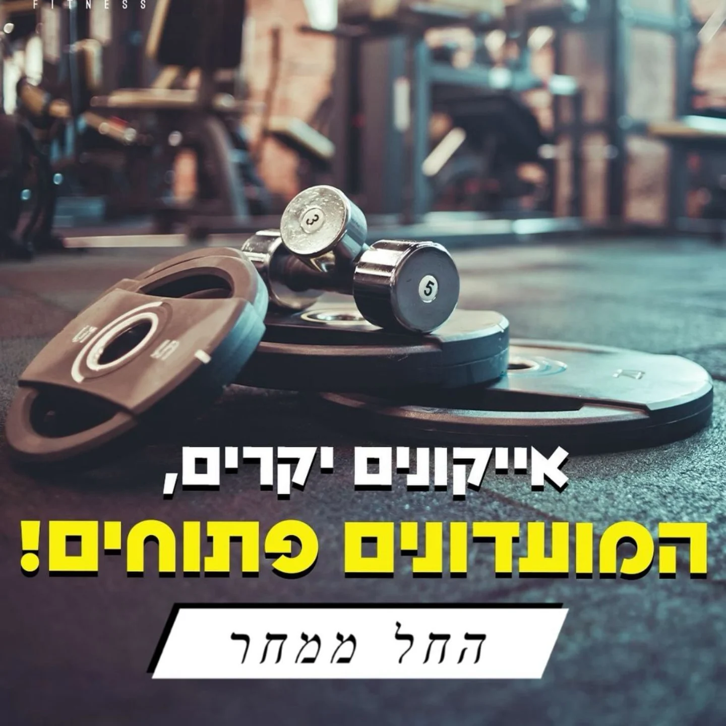 Icon - אנחנו נרגשים לעדכן שעל פי ההנחיות החדשות של פיקוד העורף נפתח את ...