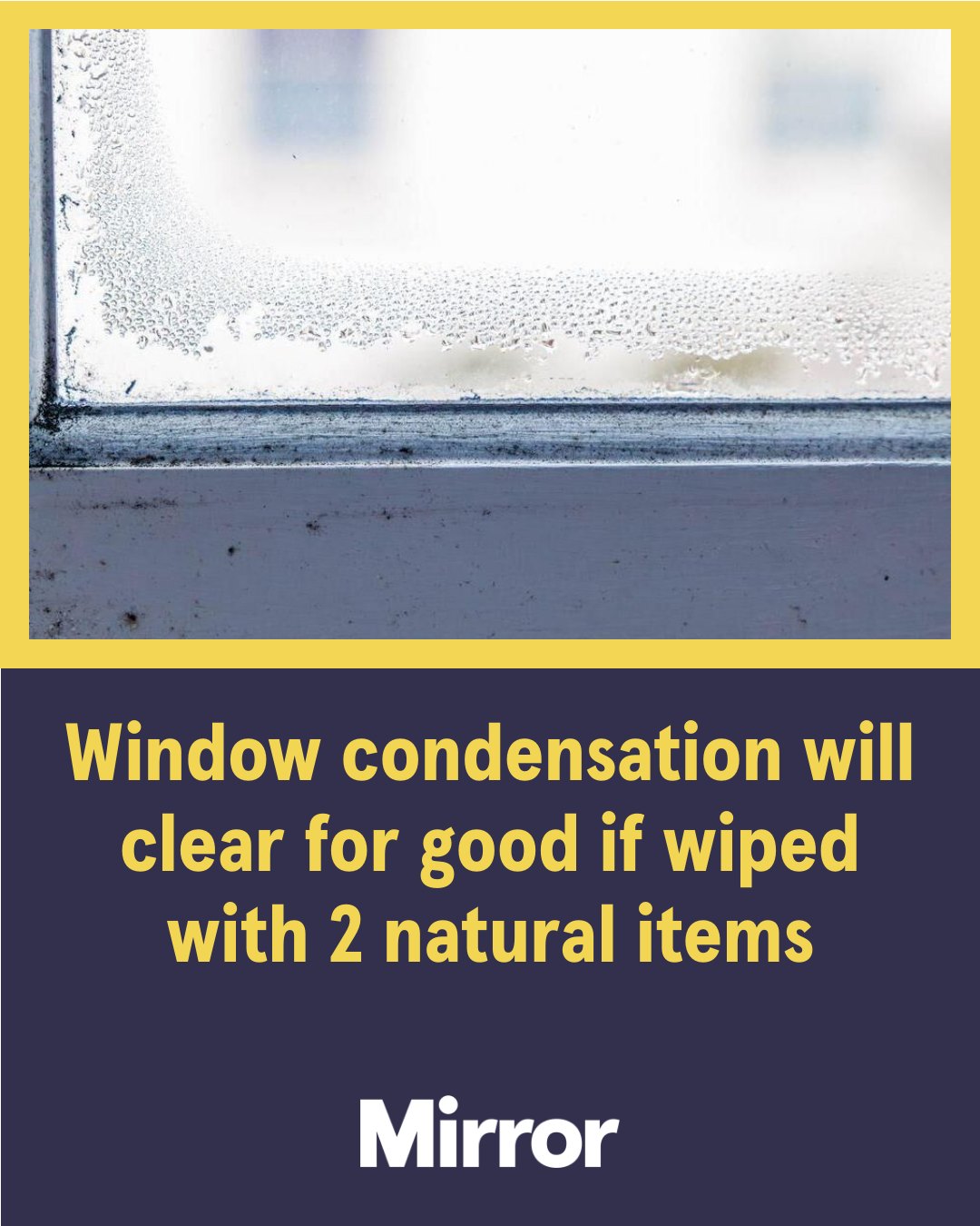 The Mirror - Condensation forming on windows is an incredibly ...