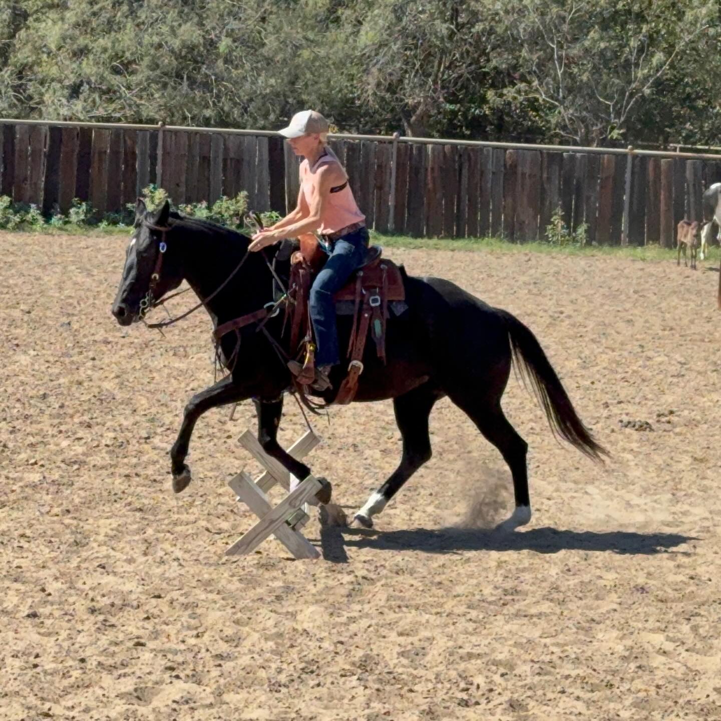 TnT Ranch & Tom Davis... - TnT Ranch & Tom Davis Horsemanship