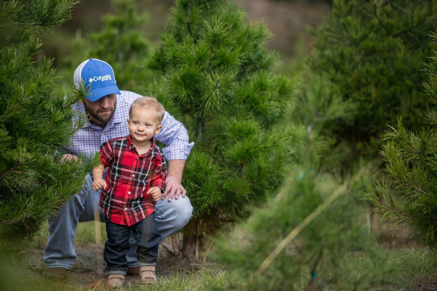 🌲 Farm Update 🌲 While we have... - Spring Creek Growers, Inc. | Facebook