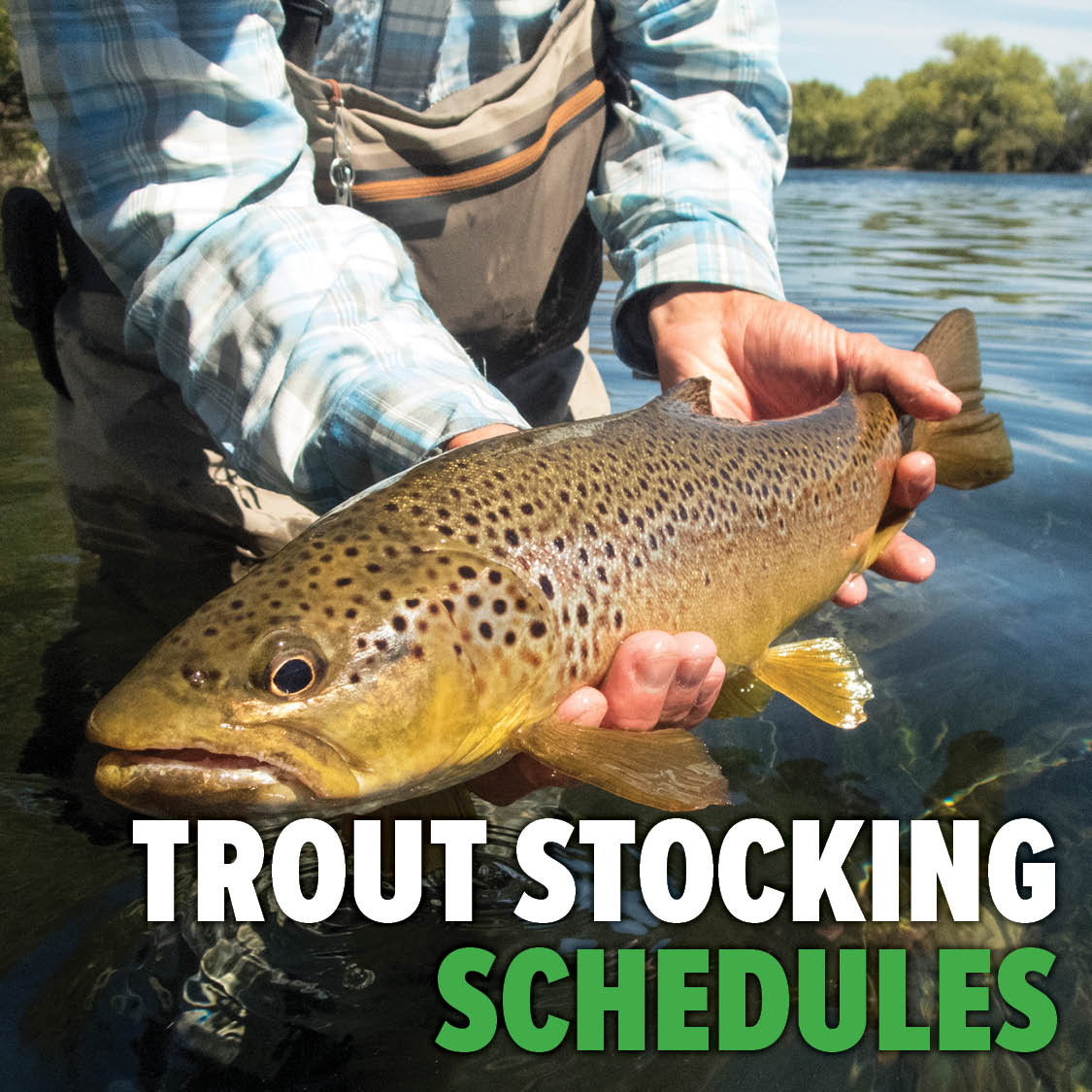 PA - Trout Stocking Schedule Now Available! The Pennsylvania Fish and ...