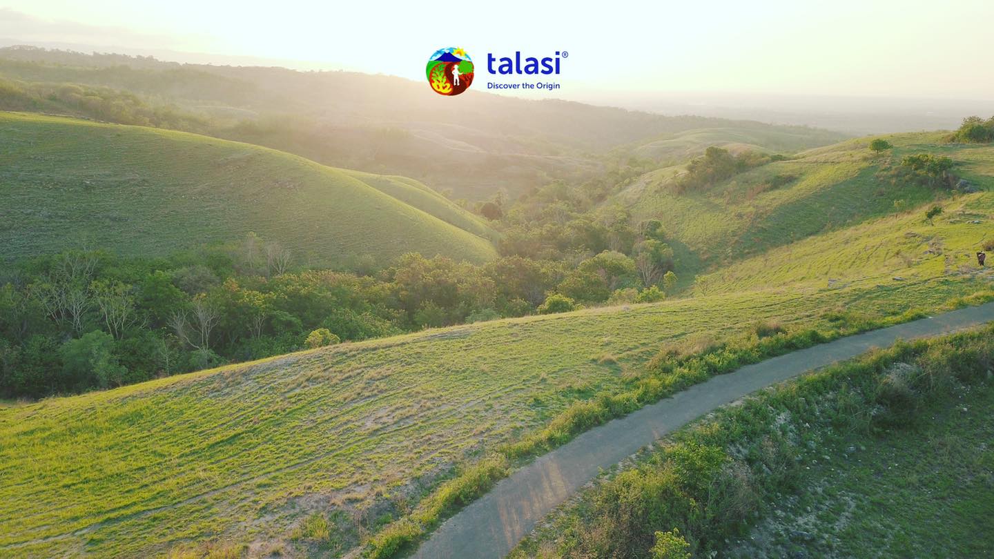 Did you remember what we talked about... - Talasi Indonesia