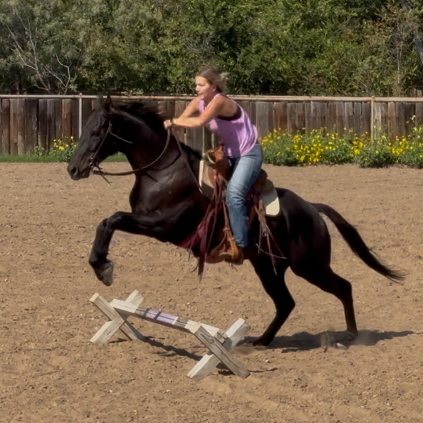 TnT Ranch & Tom Davis... - TnT Ranch & Tom Davis Horsemanship